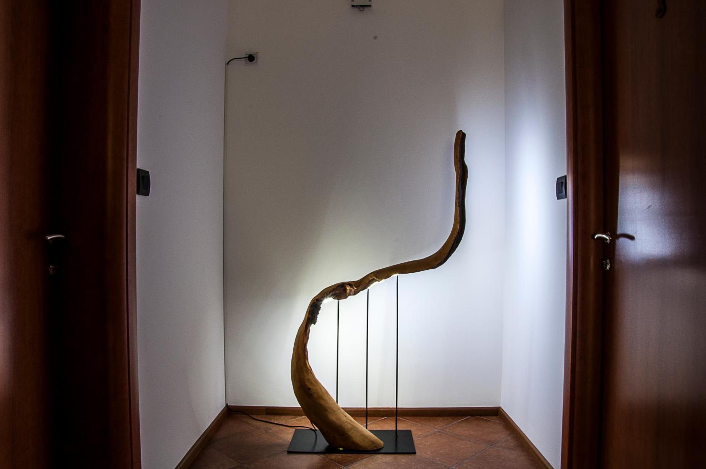 Large Suite - Photo 6