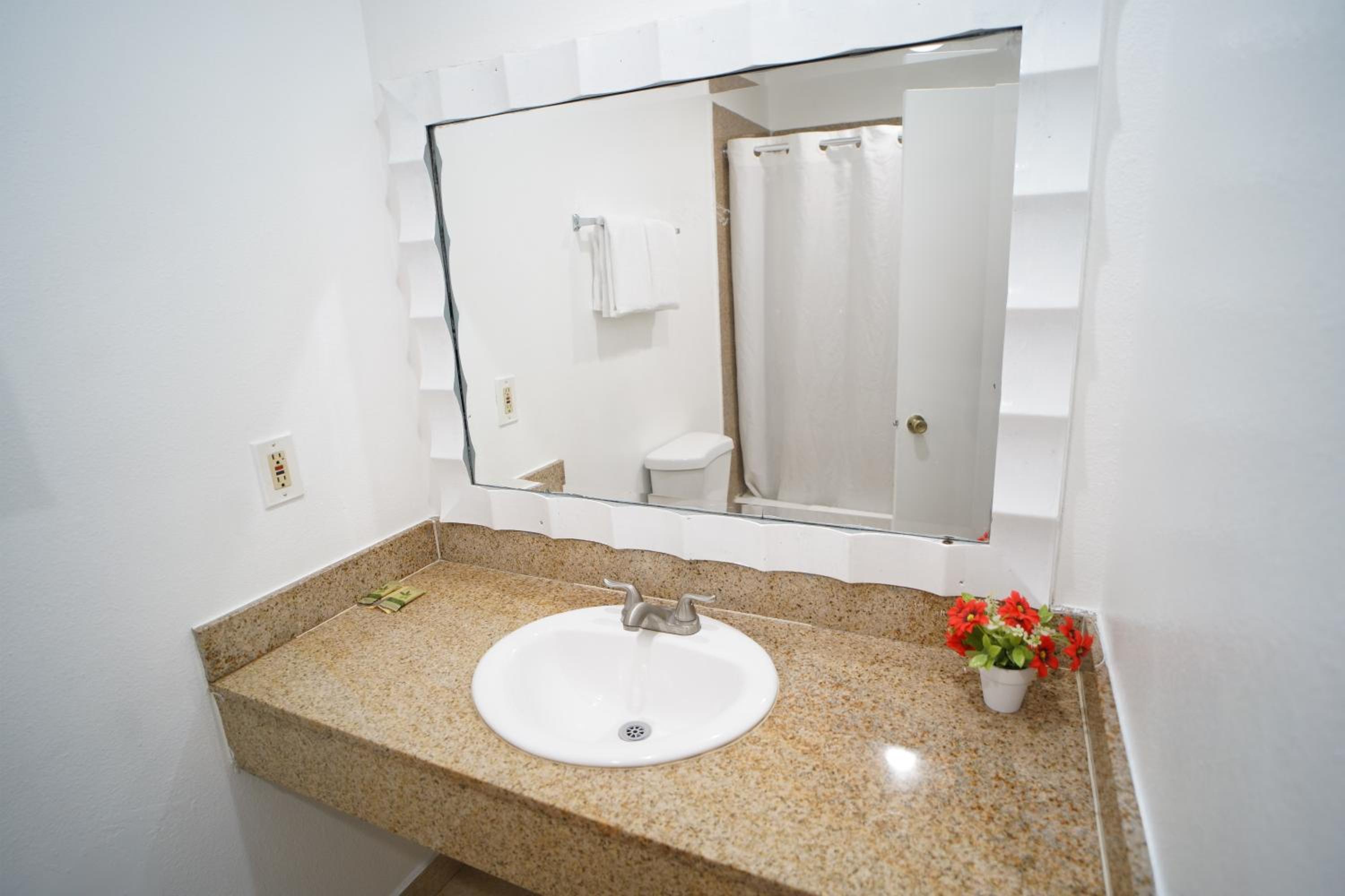 Deluxe Single Room photo 3