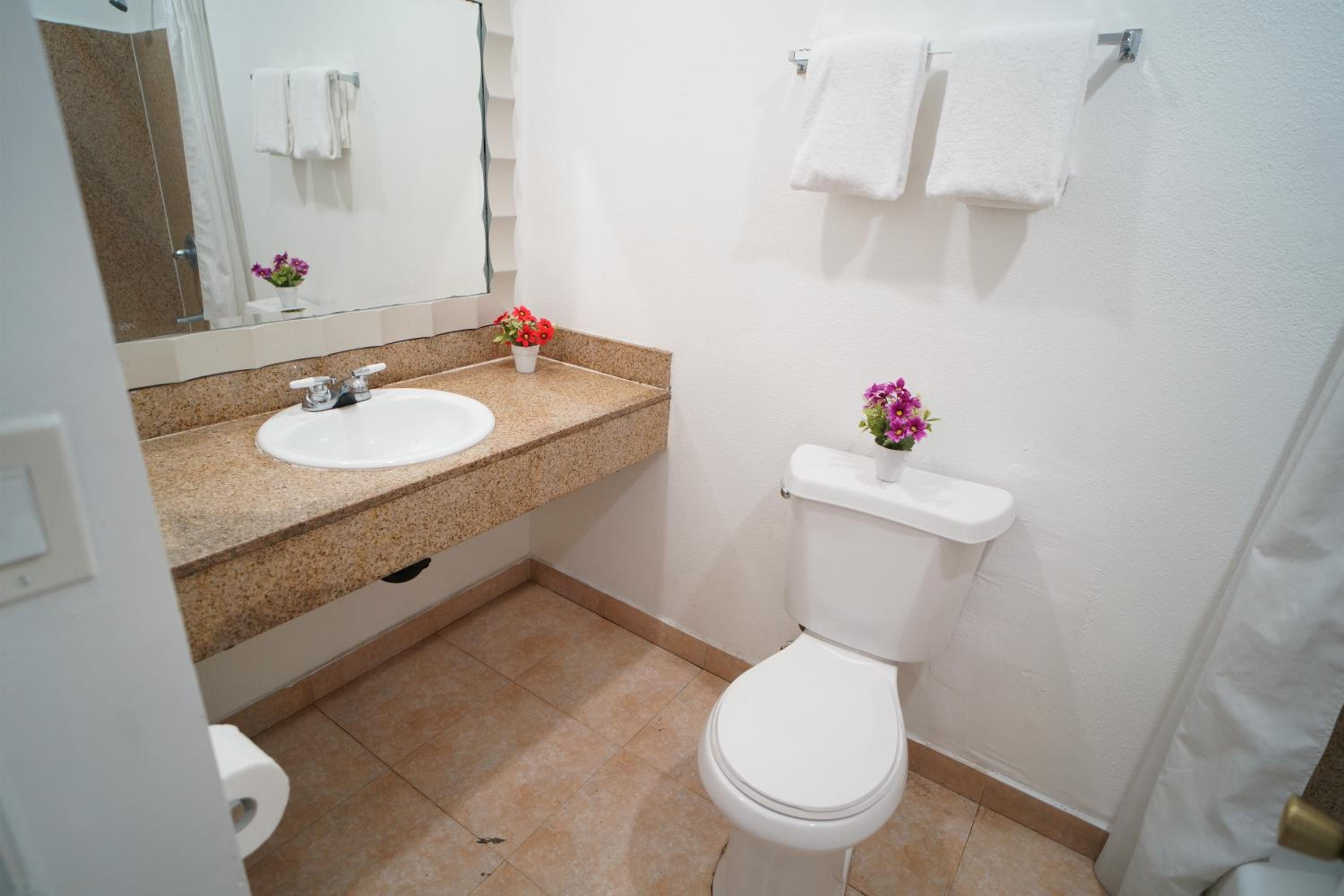 Single Room photo 2
