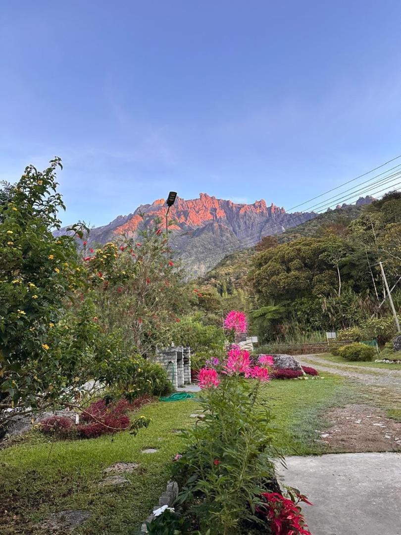 Double Room with Mountain View photo 1