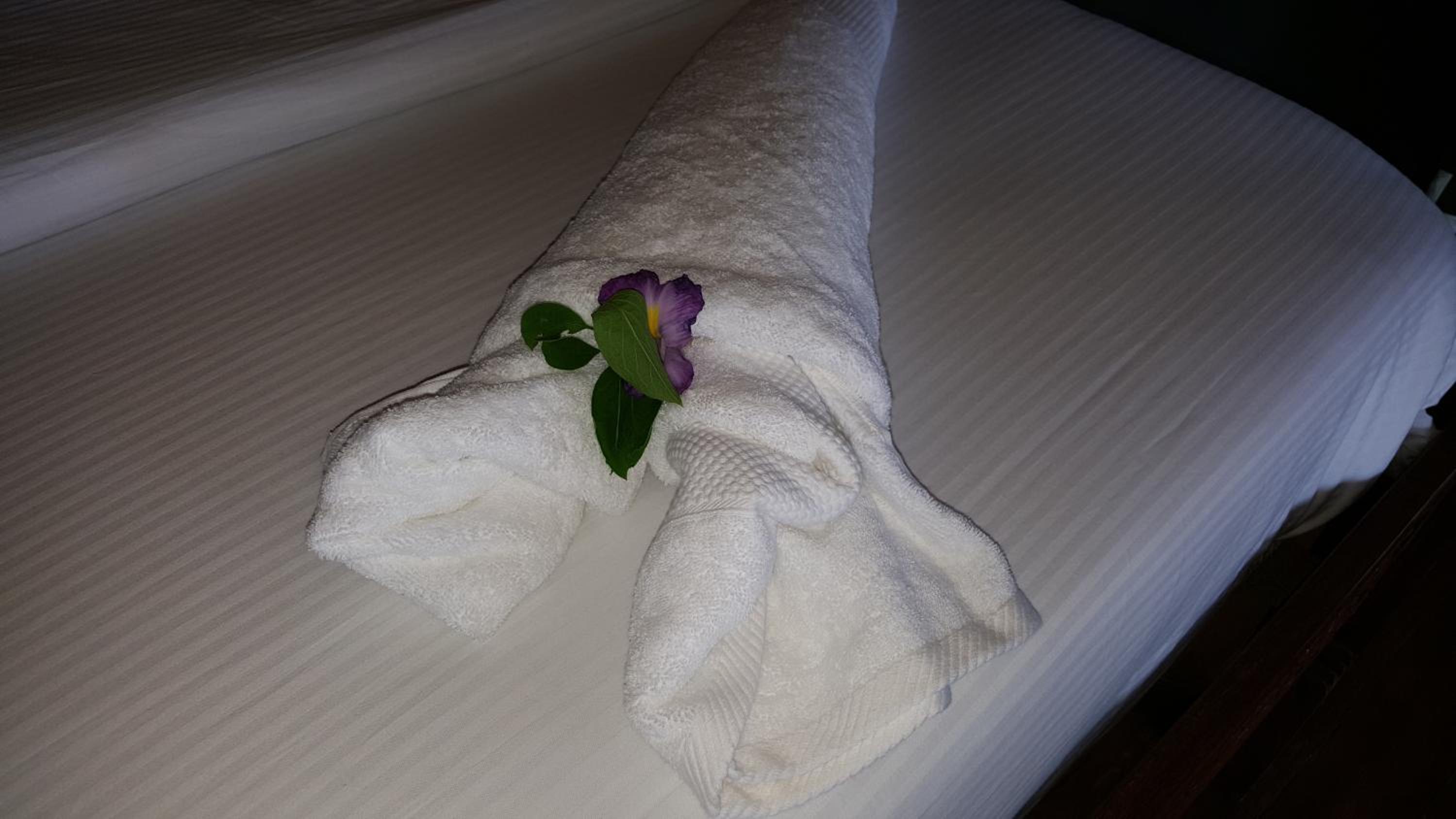 Deluxe Double Room with Extra Bed - Photo 1