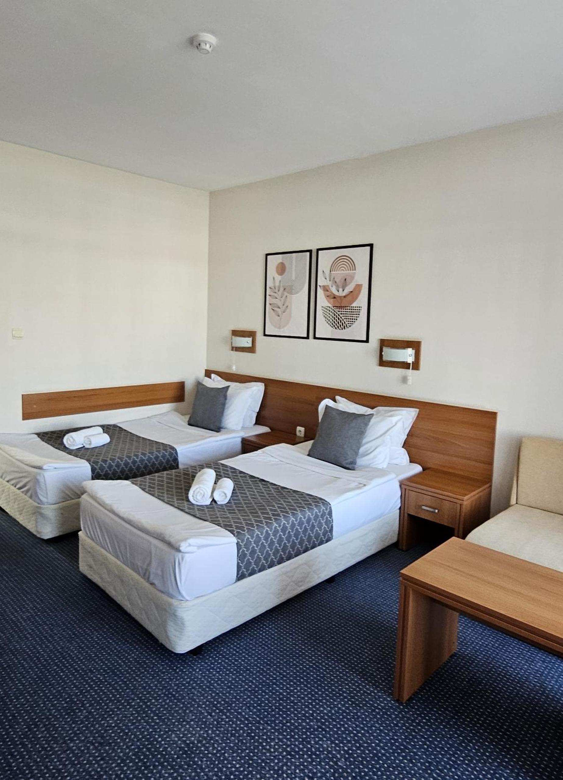 Double Room with Balcony photo 3