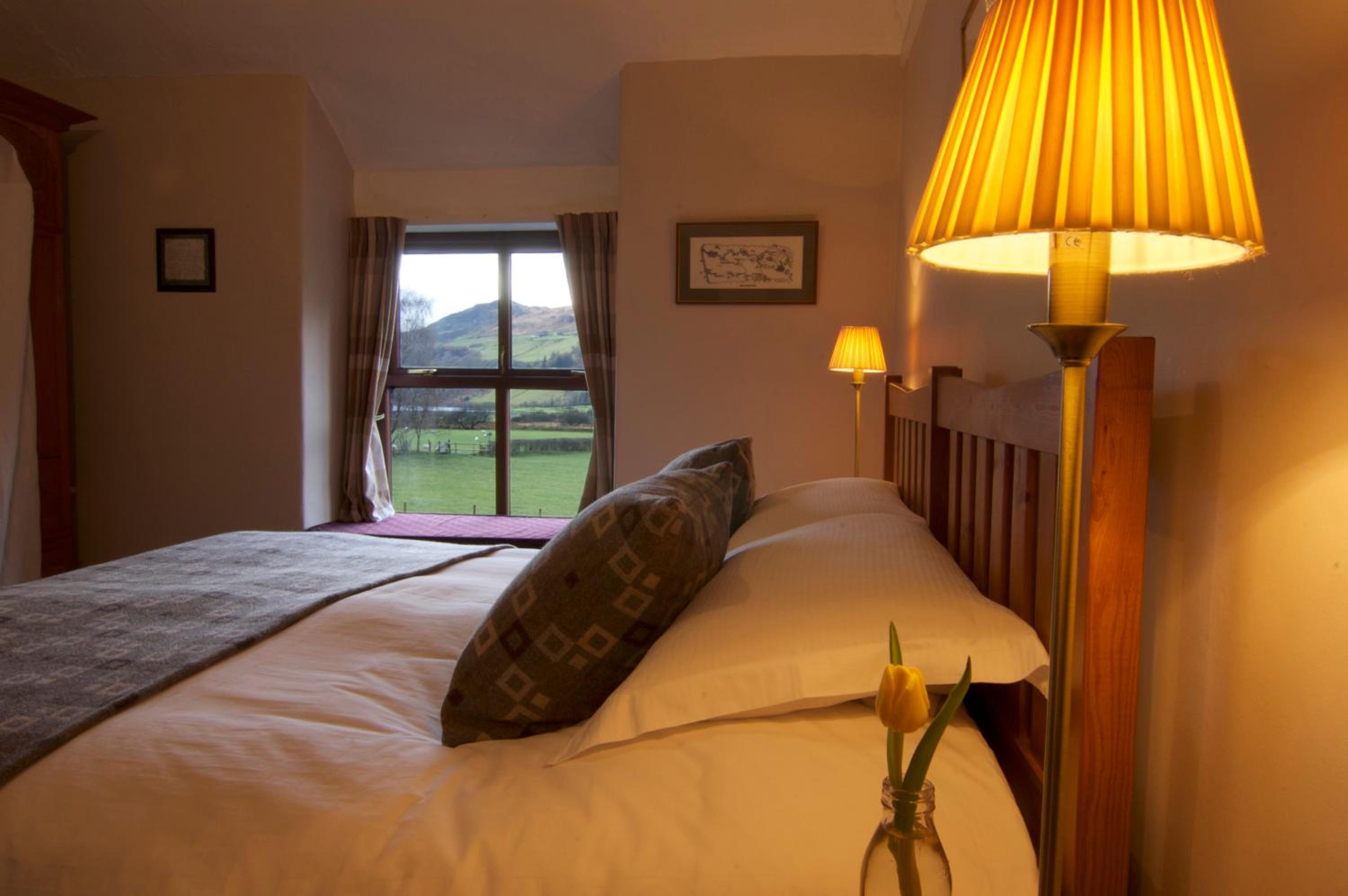 Deluxe Double or Twin Room with Lake View - Dysynni photo 3