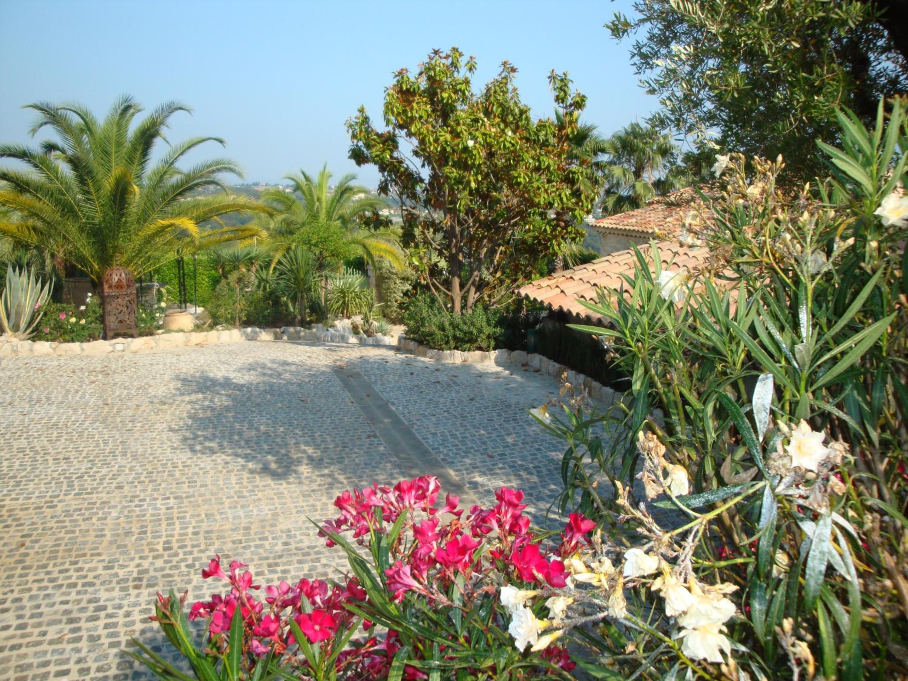 King Suite with Sea View photo 3