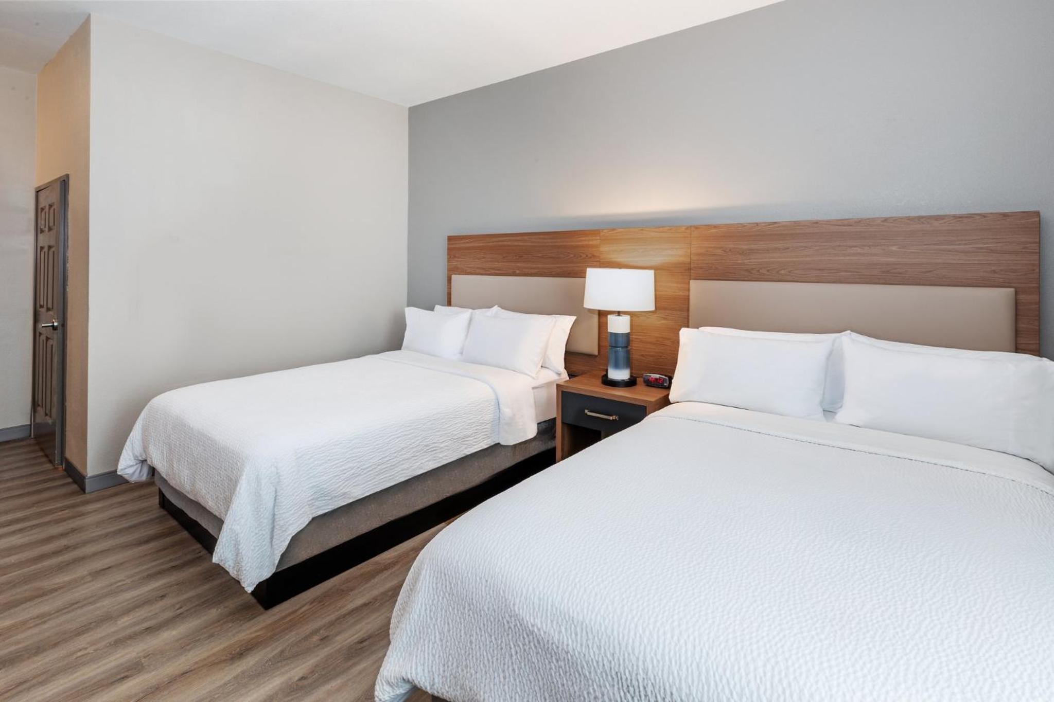 Studio Suite with Two Double Beds - Photo 1
