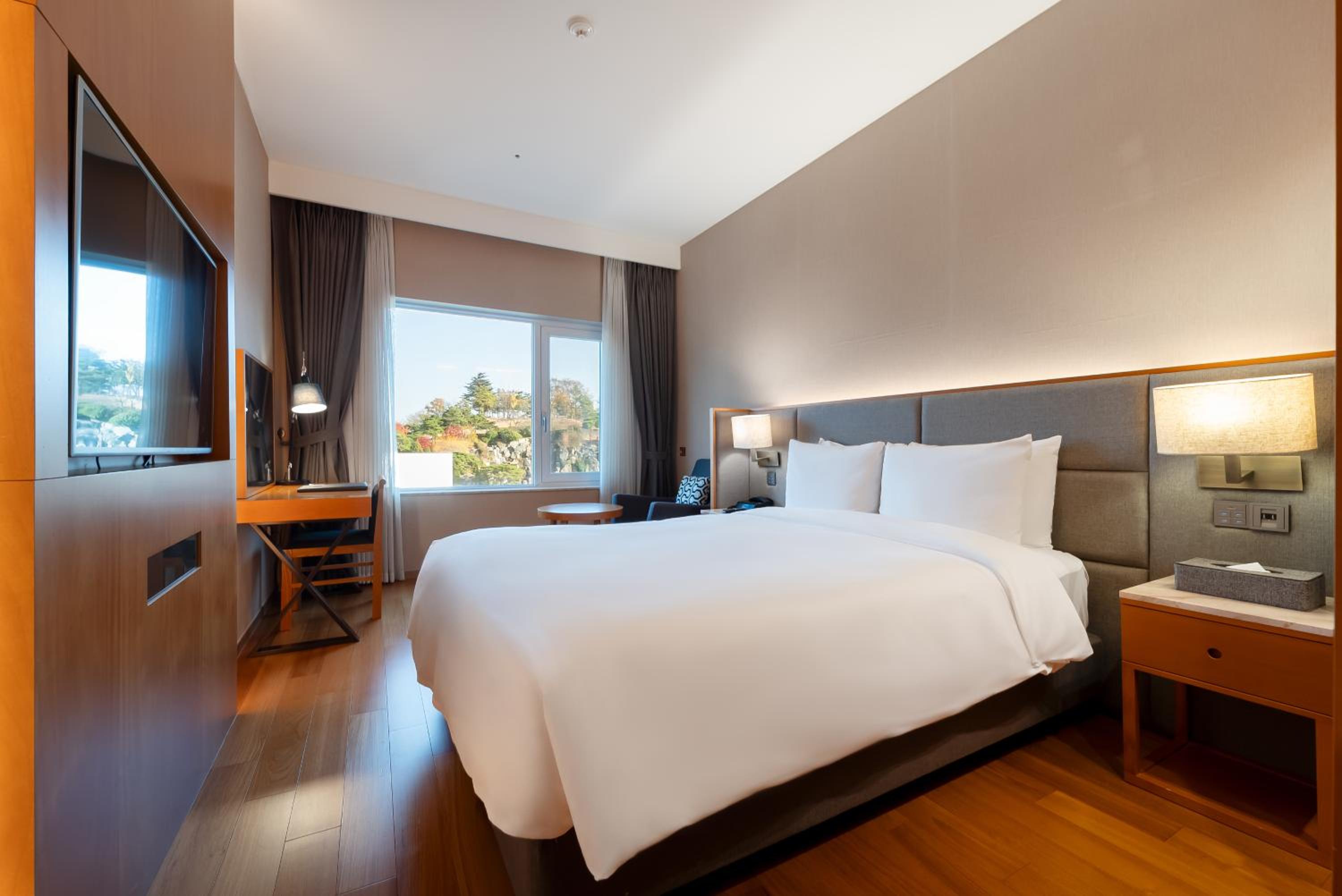 Park Standard Double Room photo 1