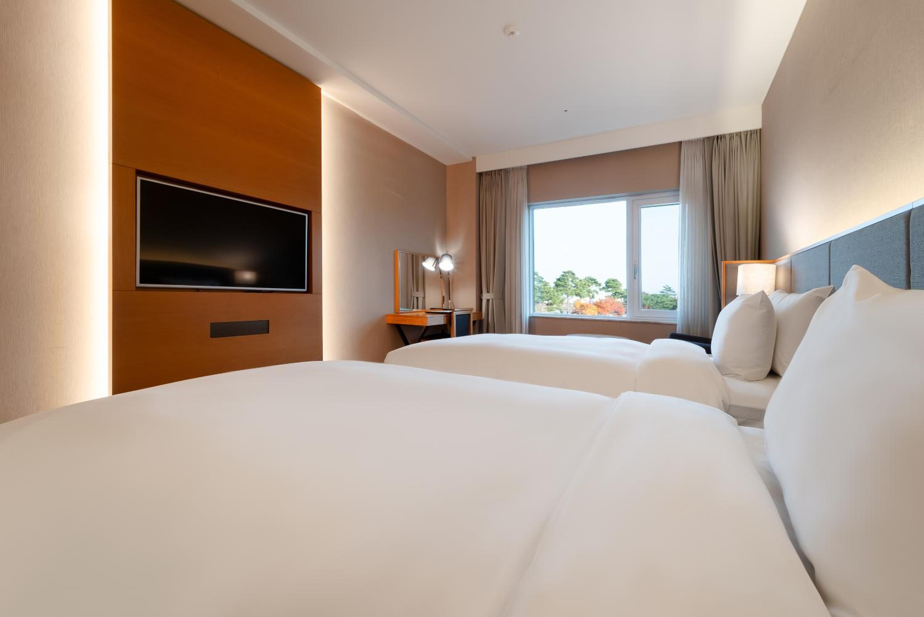 Park Standard Twin Room - Photo 1