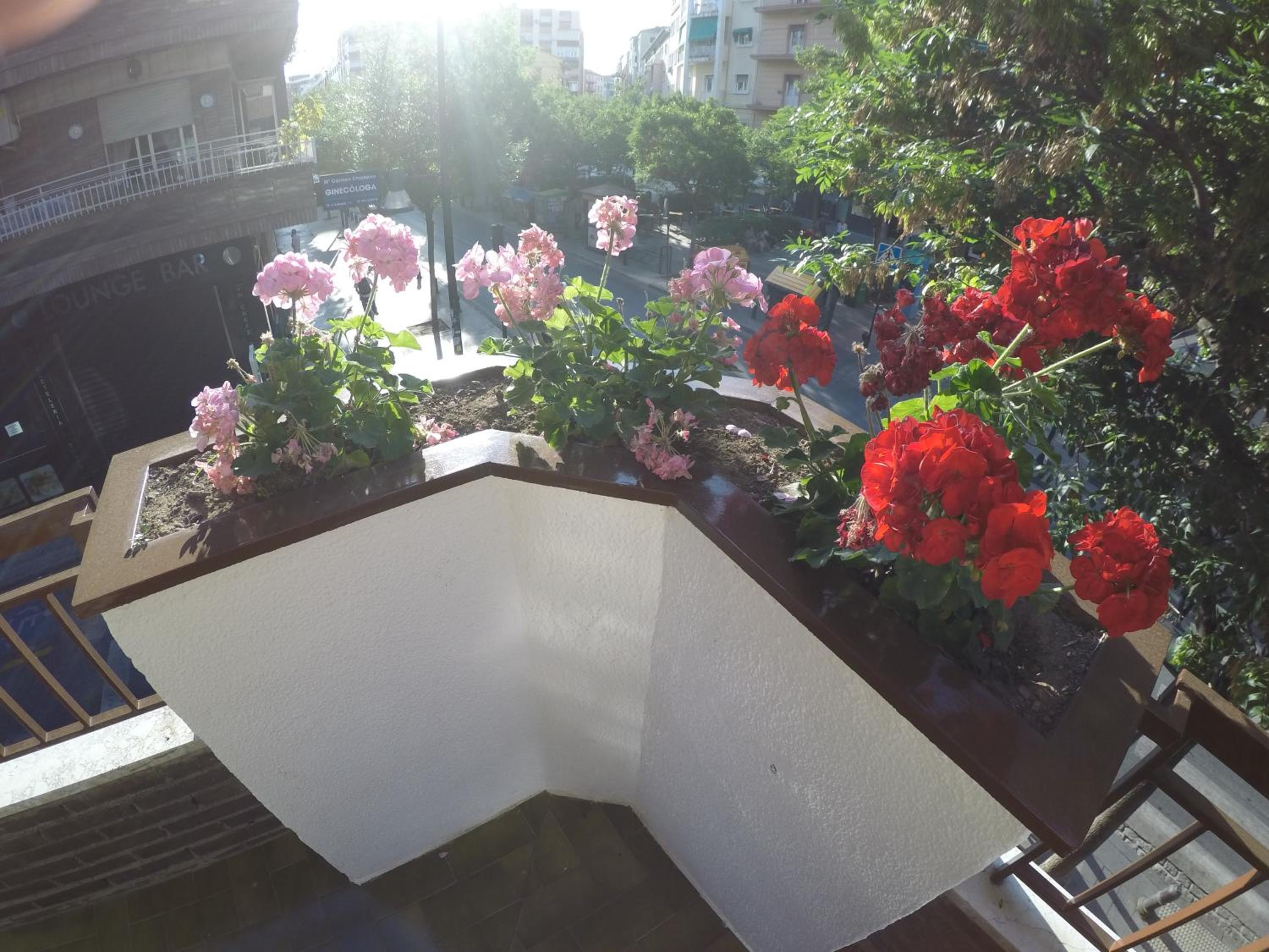 Apartment - Photo 20