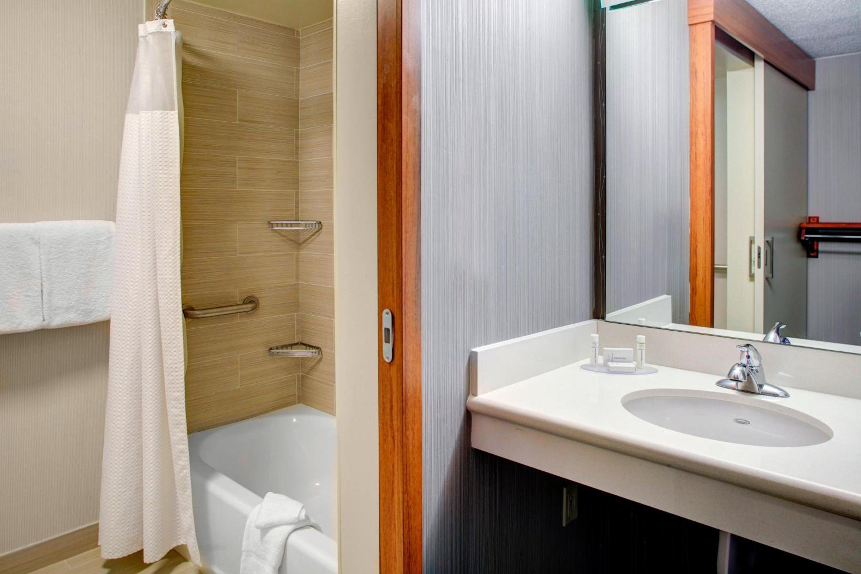King Room with Sofa Bed and Transfer Shower - Mobility and Hearing Accessible