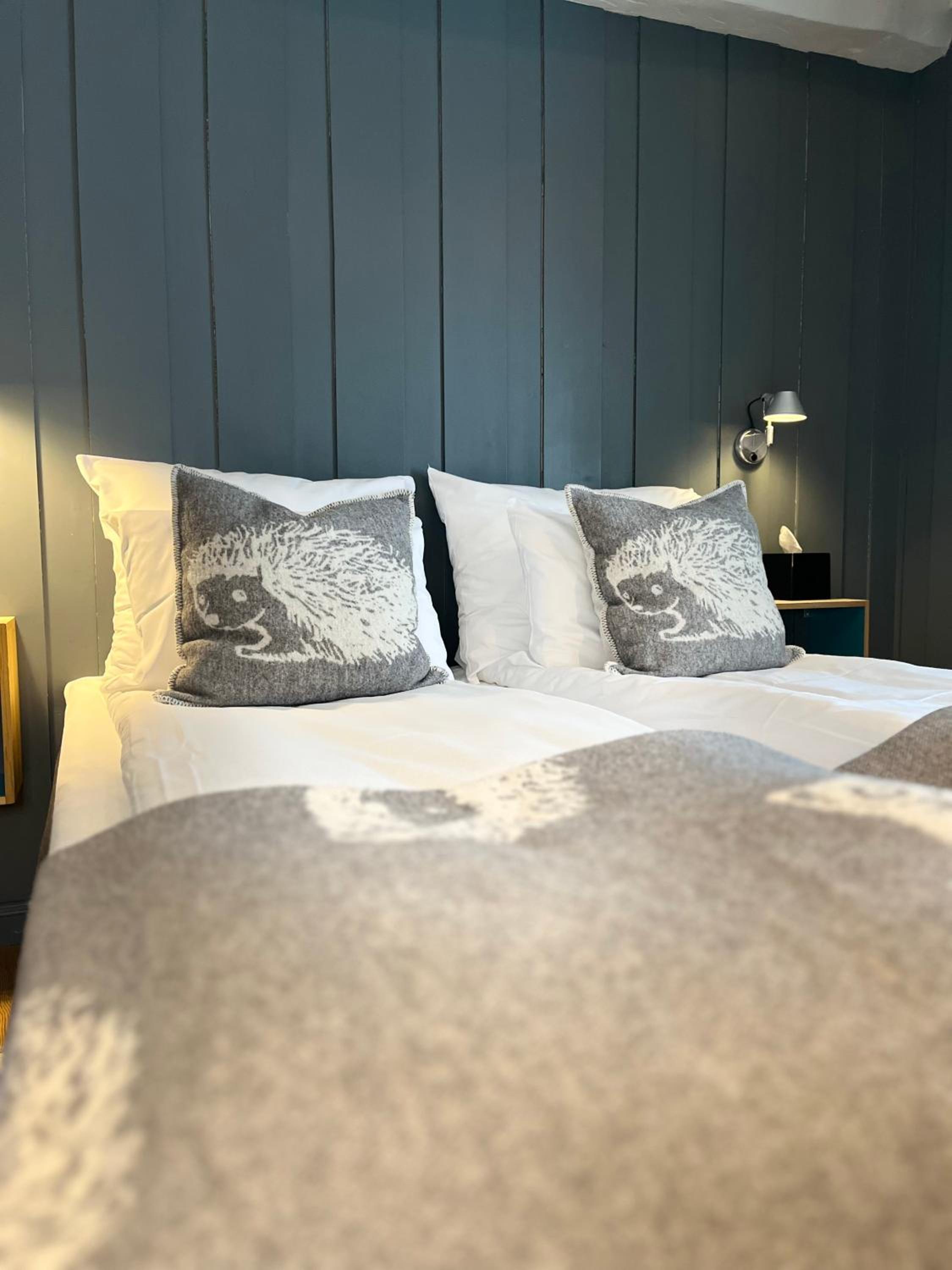 Double or Twin Room photo 2