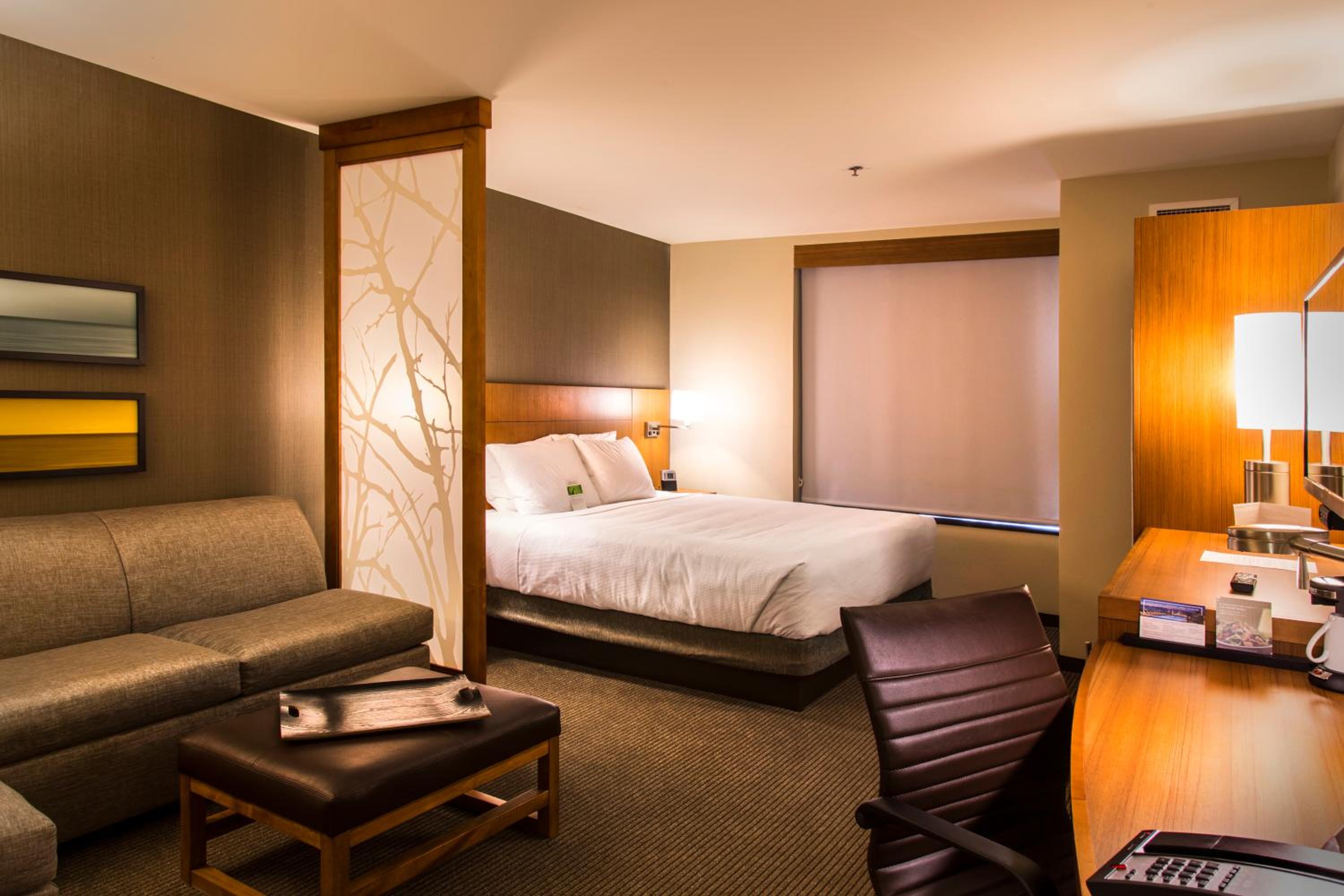 King Room with Sofa Bed photo 1