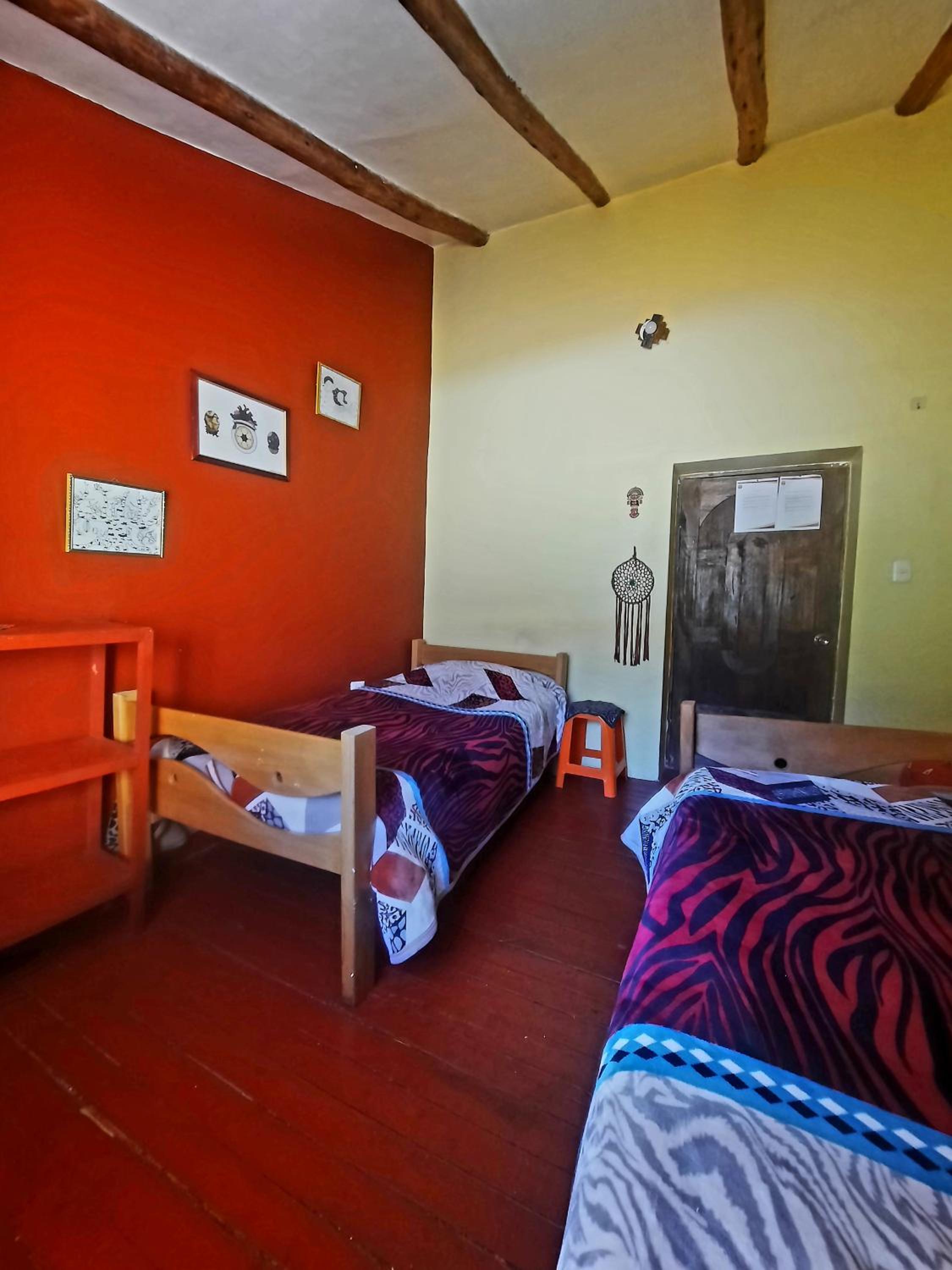 Single Bed in Mixed Dormitory Room photo 1
