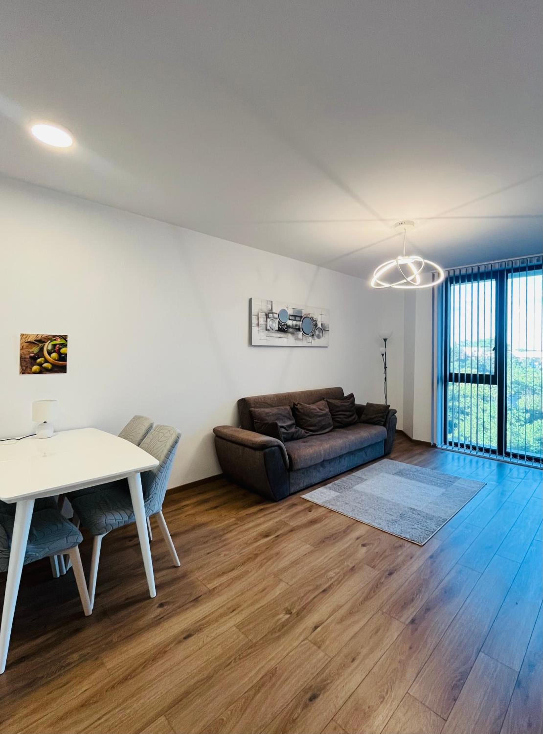 Deluxe One-Bedroom Apartment