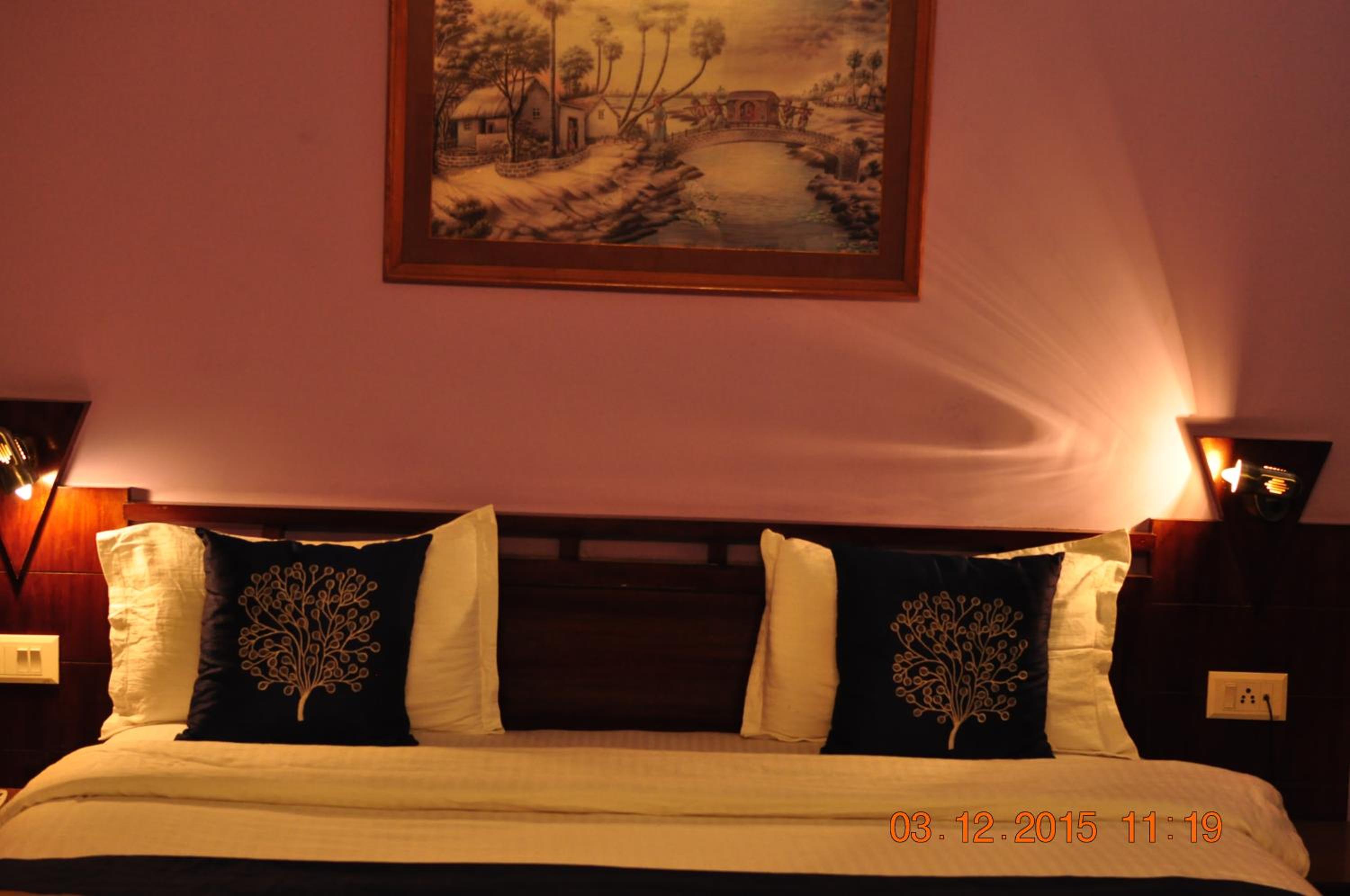Executive Double or Twin Room photo 3