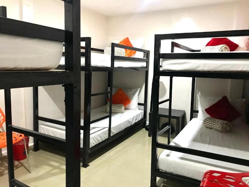 Bunk Bed in Mixed Dormitory Room photo 1