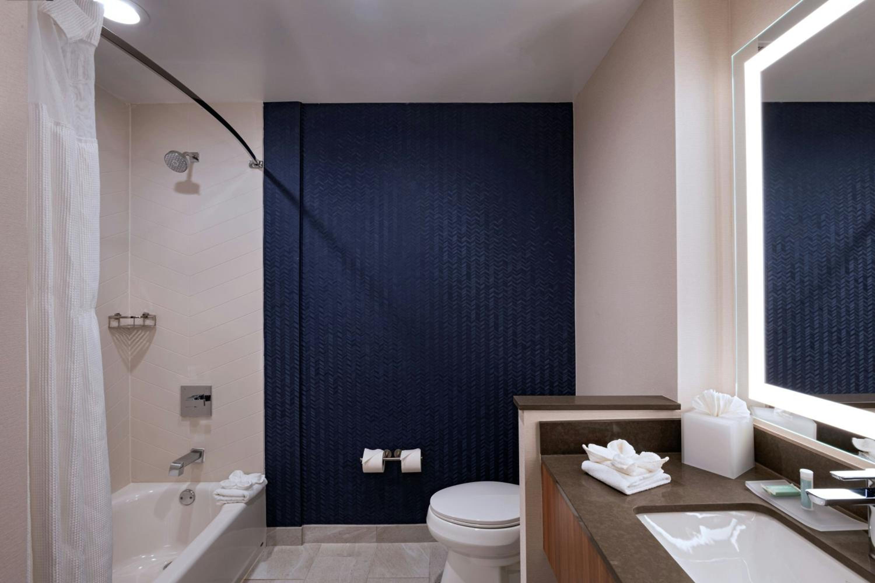Standard Queen with Balcony - Mobility Accessible with Tub - Photo 5