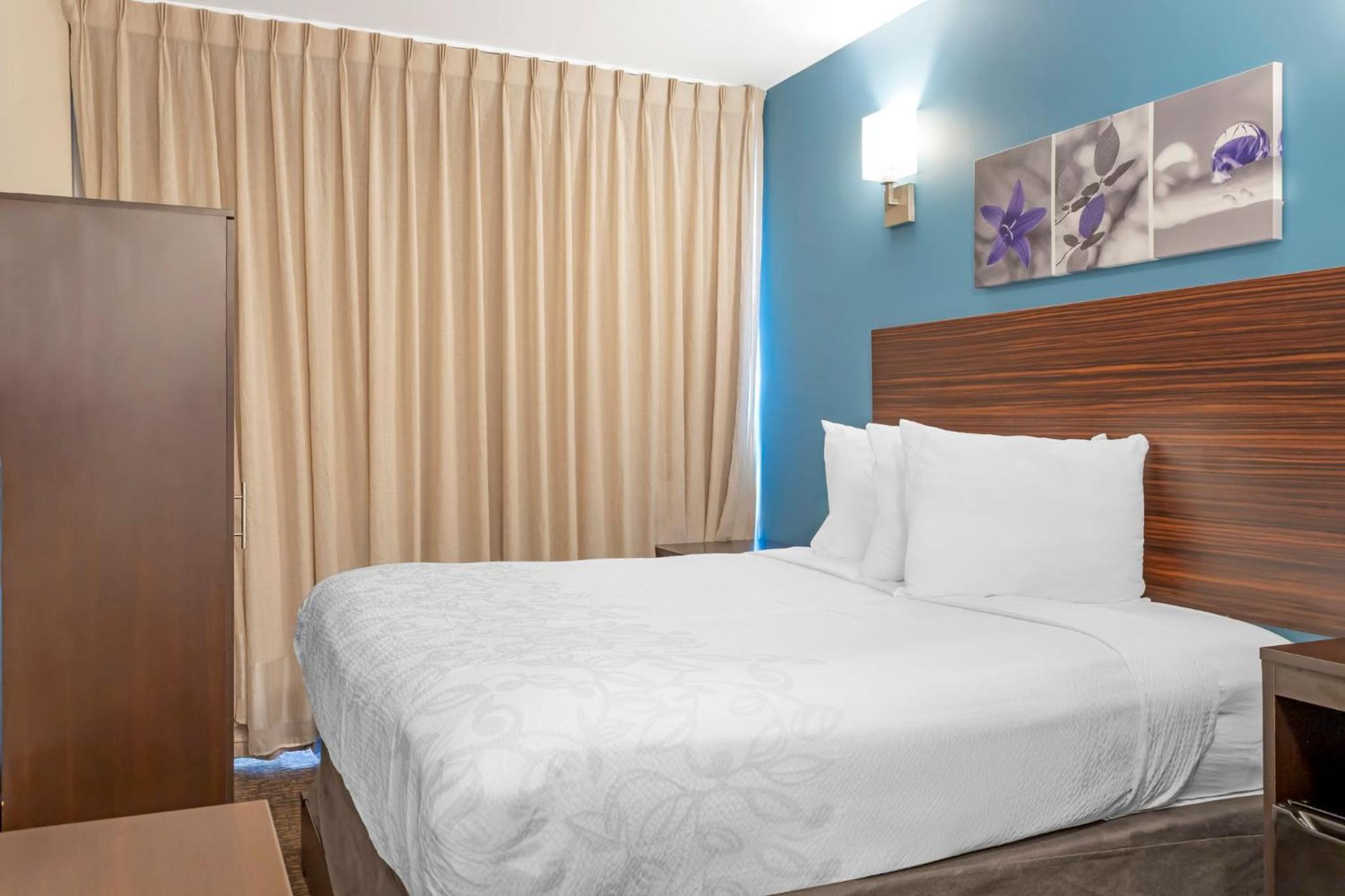 Premium Queen Room Disability Access Roll-In Shower Smoke Free (Upgraded Bedding and Snack Box)