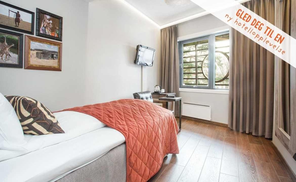 Single Room photo 2
