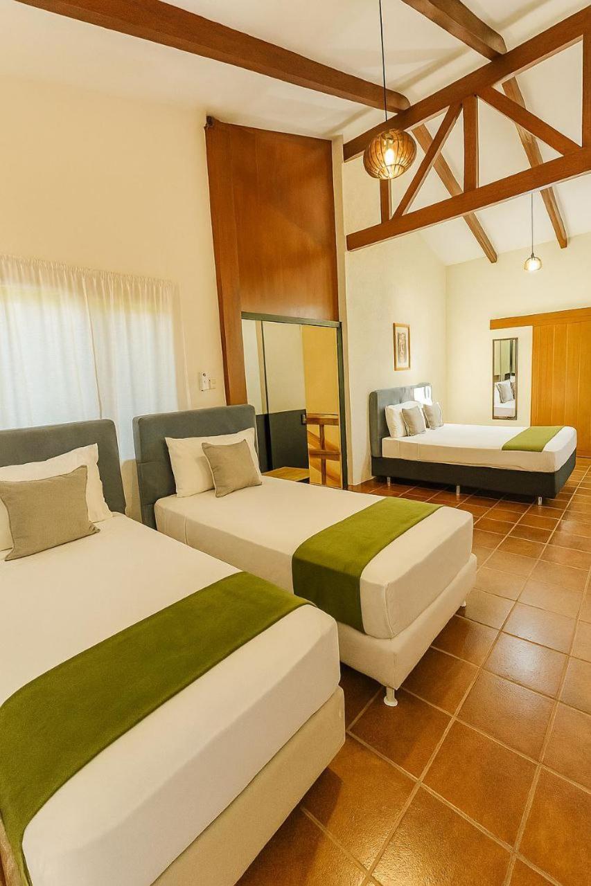 Quadruple Room with Garden View photo 2