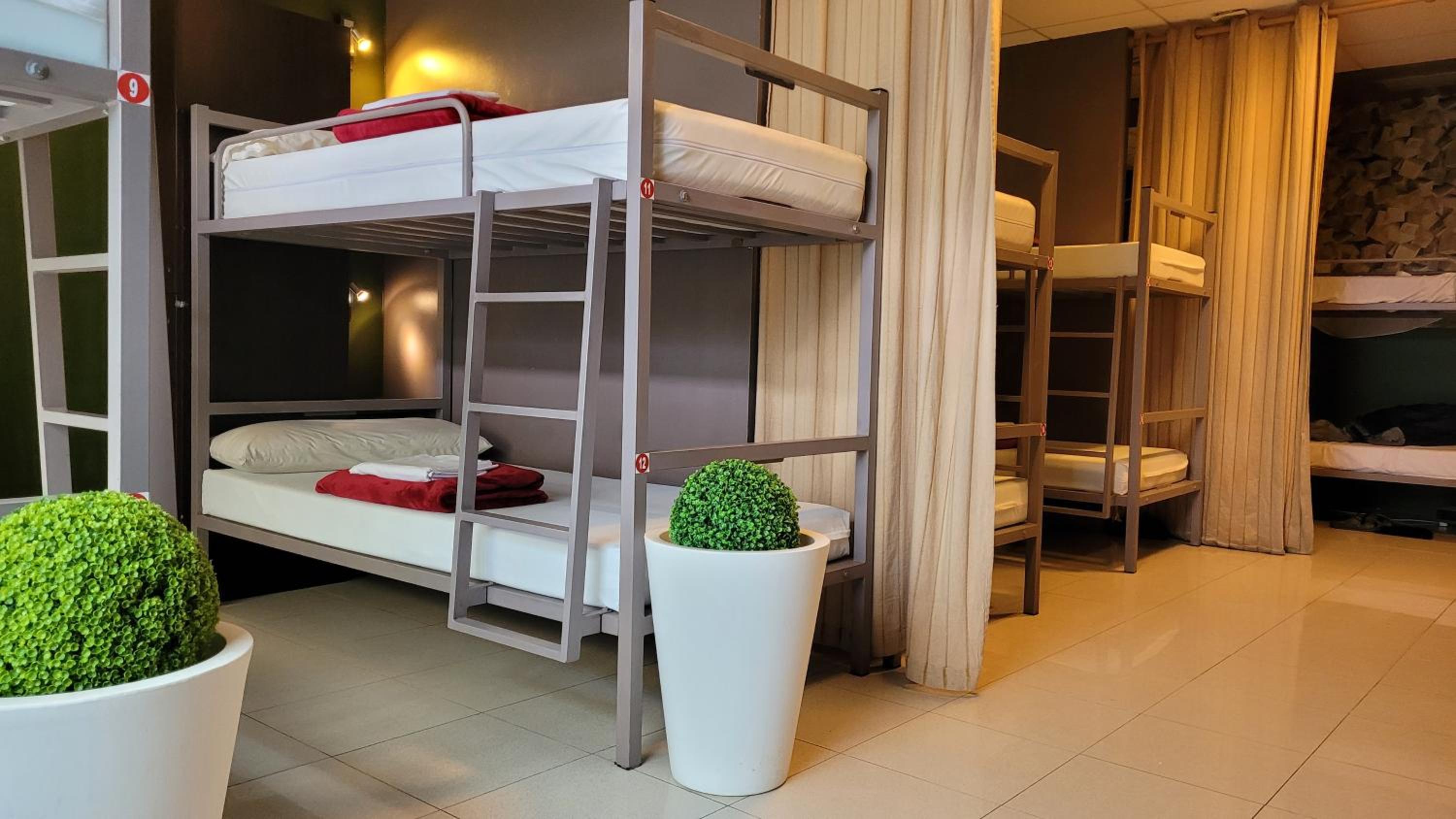 Bunk Bed in Mixed Dormitory Room