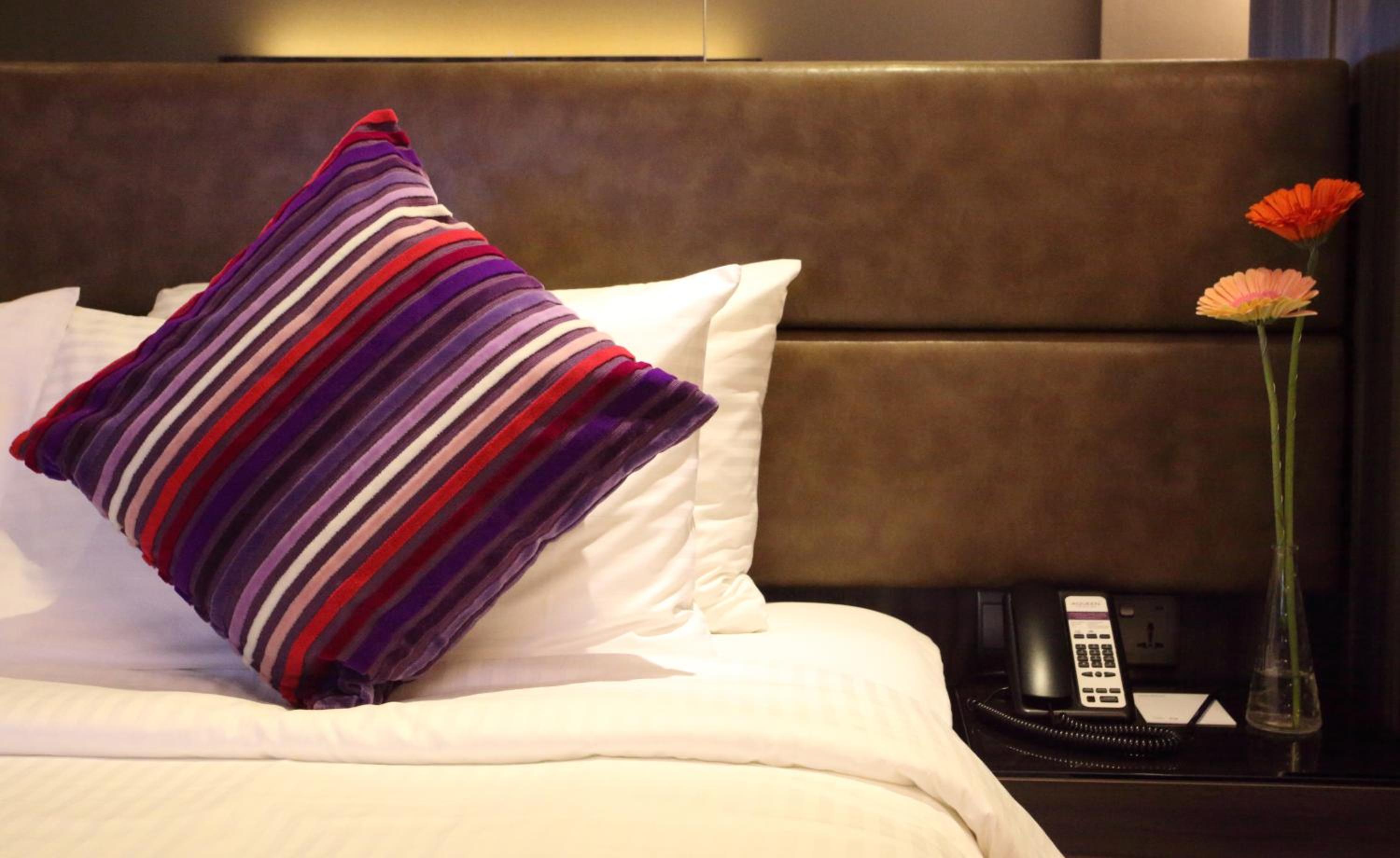 Premier Room photo 2