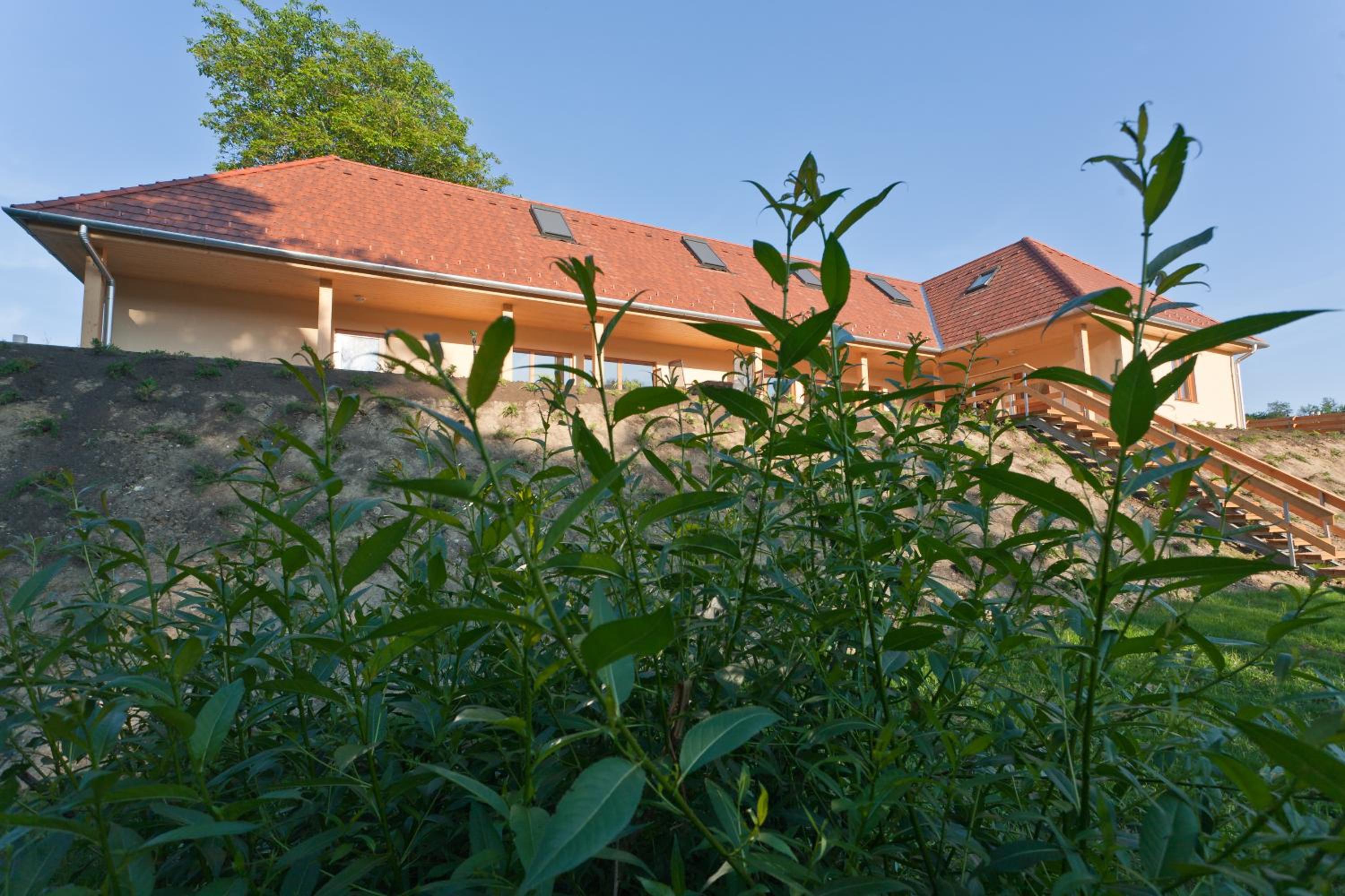 Upper House photo 3