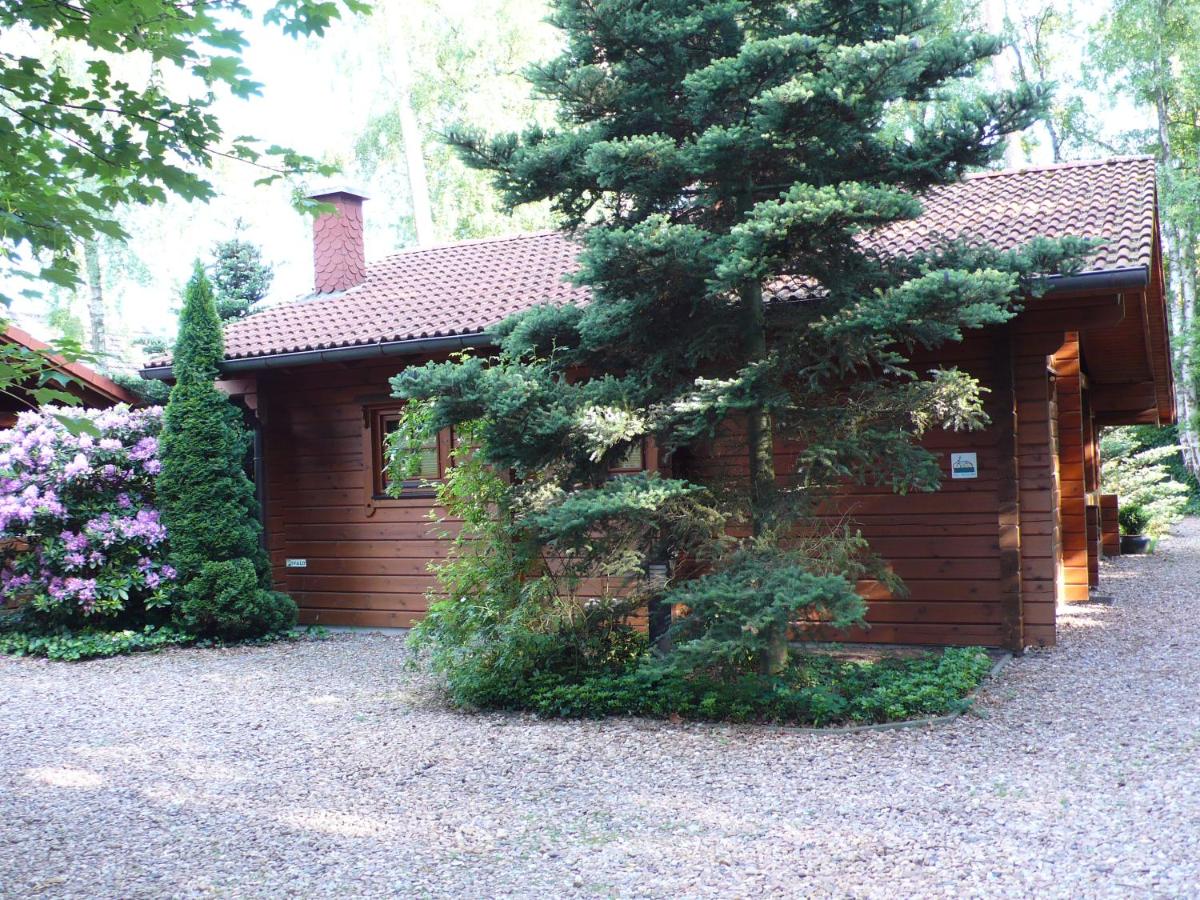 Chalet with fireplace photo 3