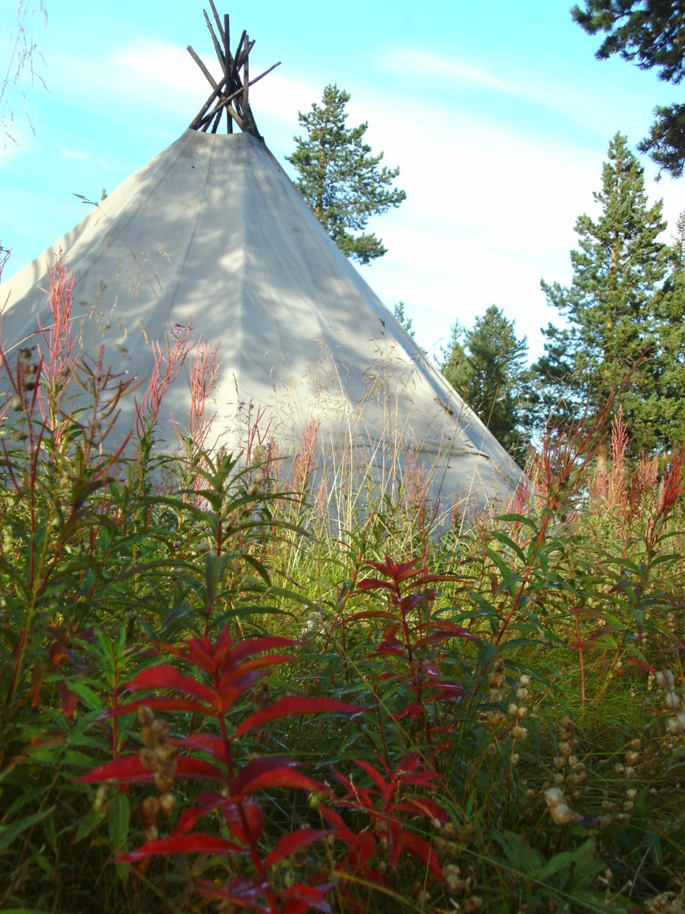Tent - Photo 1