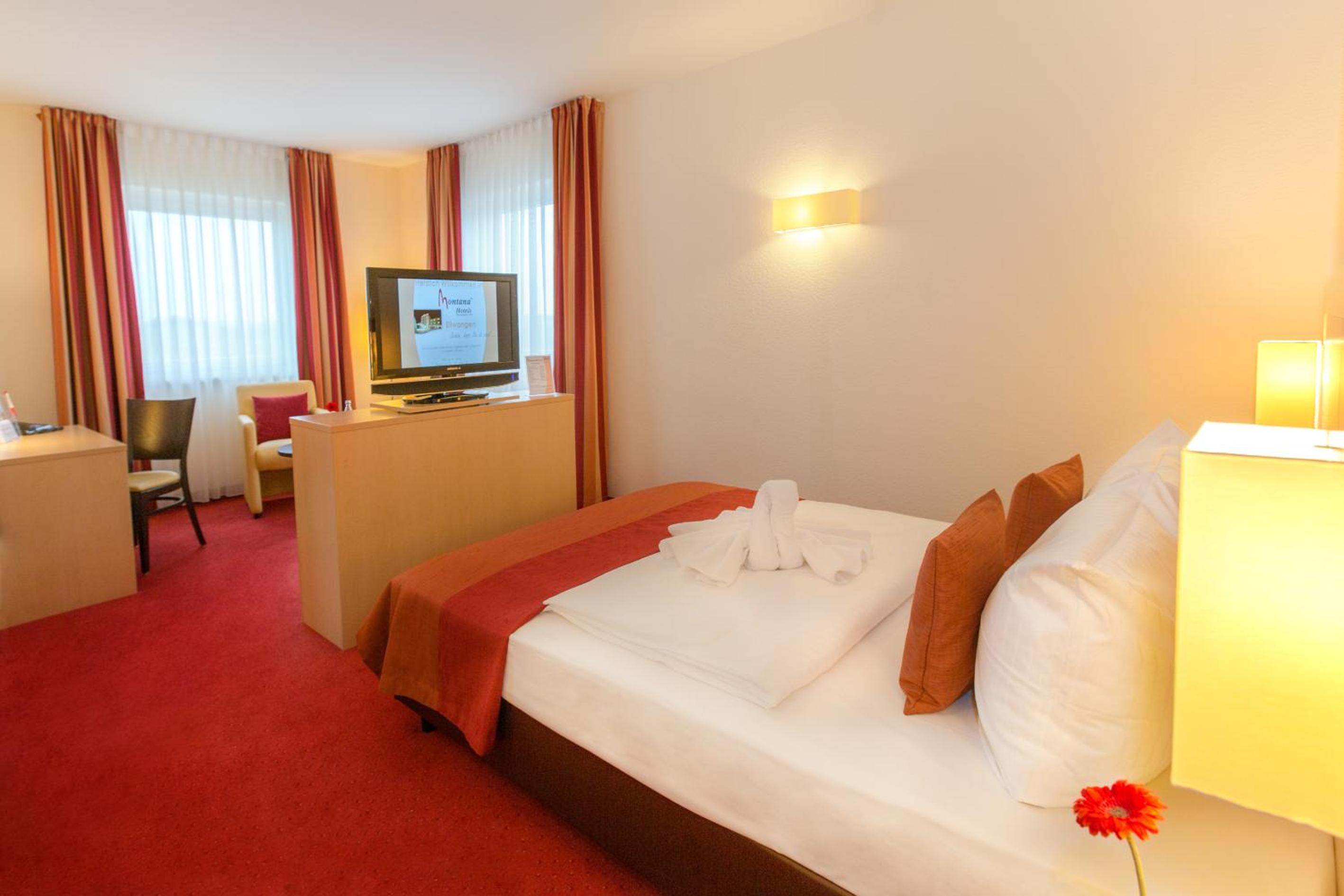 Suite - Photo 4