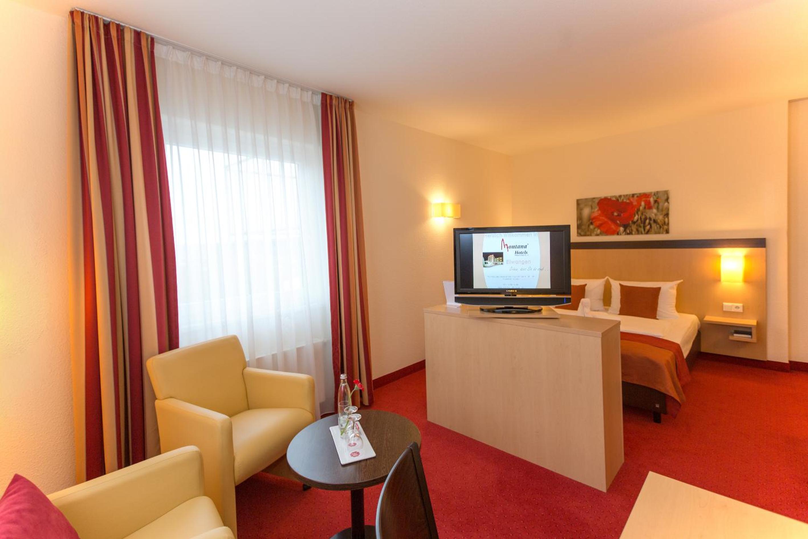 Suite - Photo 1
