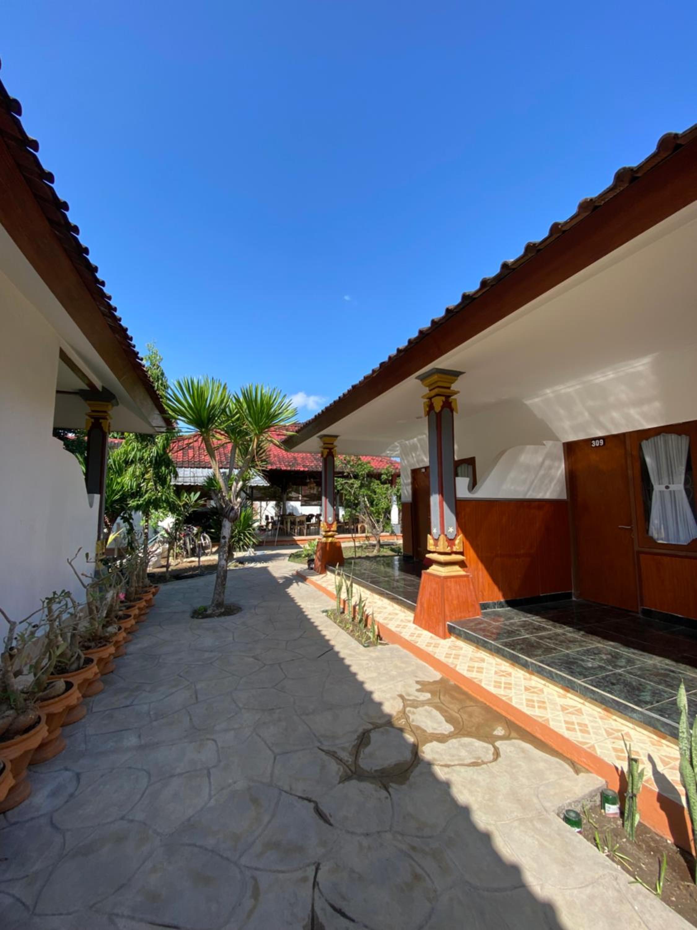Double Room with Terrace photo 3