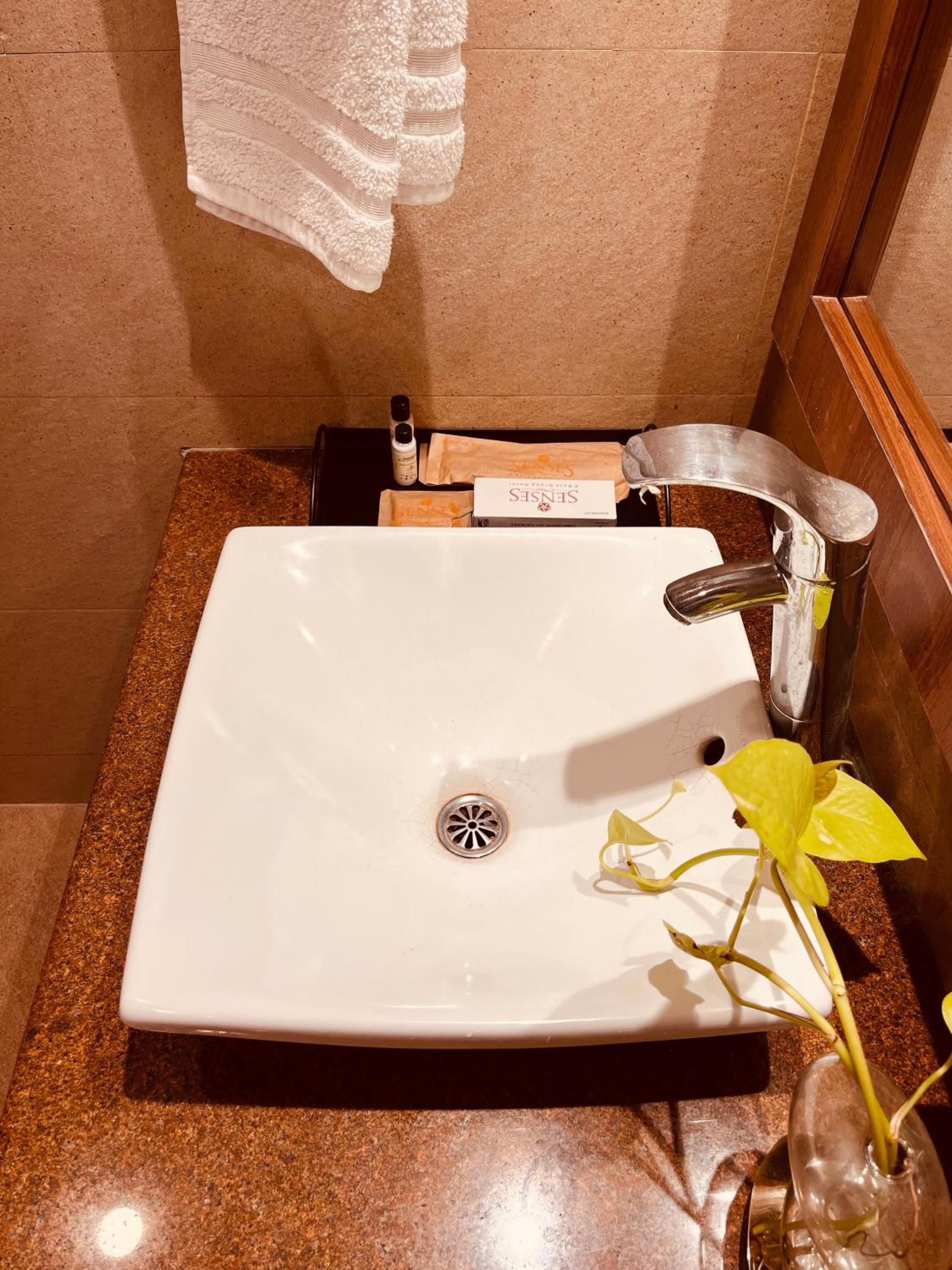 Superior Suite photo 3