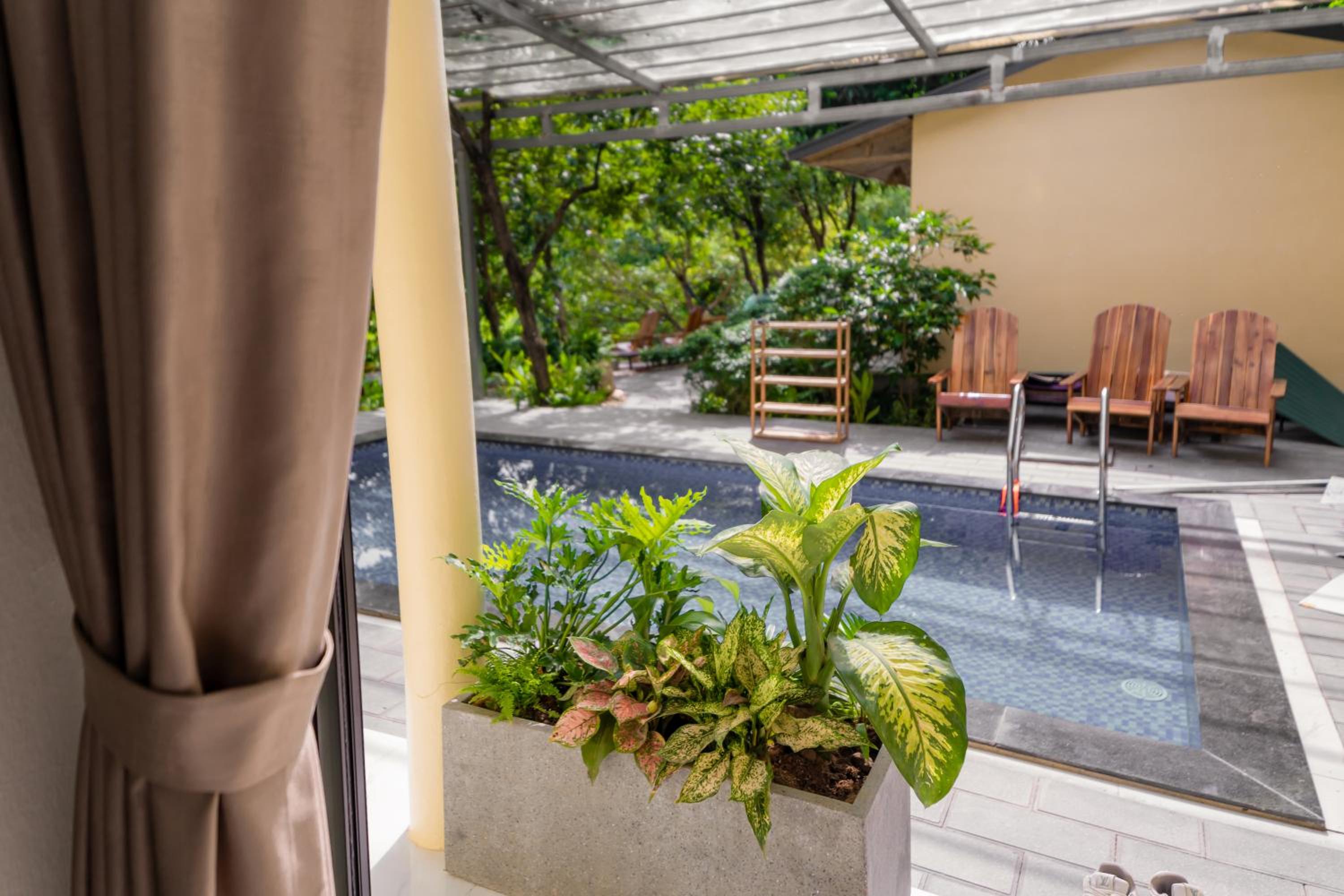 Double or Twin Room with Pool View photo 1