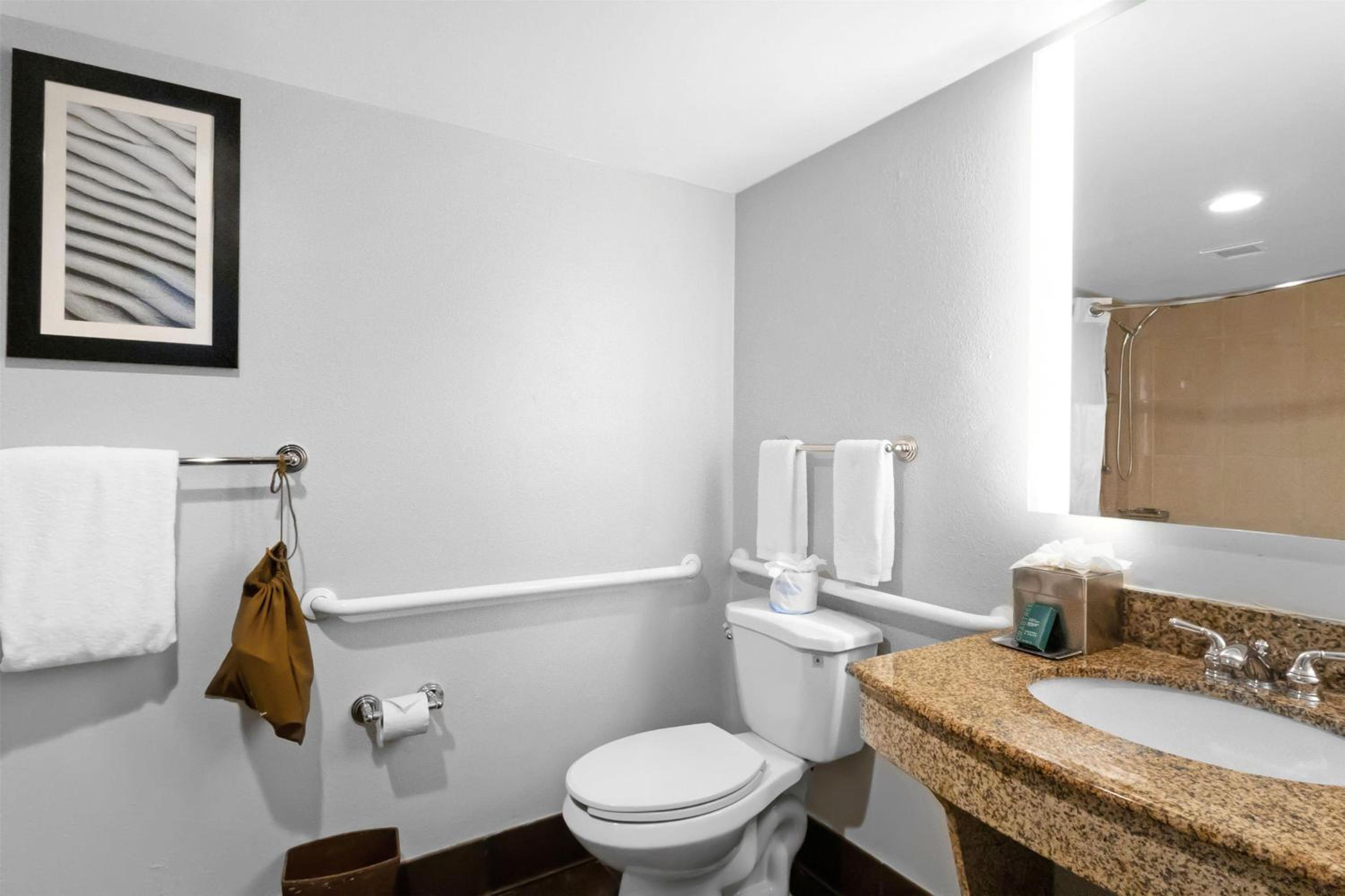 King Room Accessible Tub - Mobility Access/Non-Smoking - Photo 4
