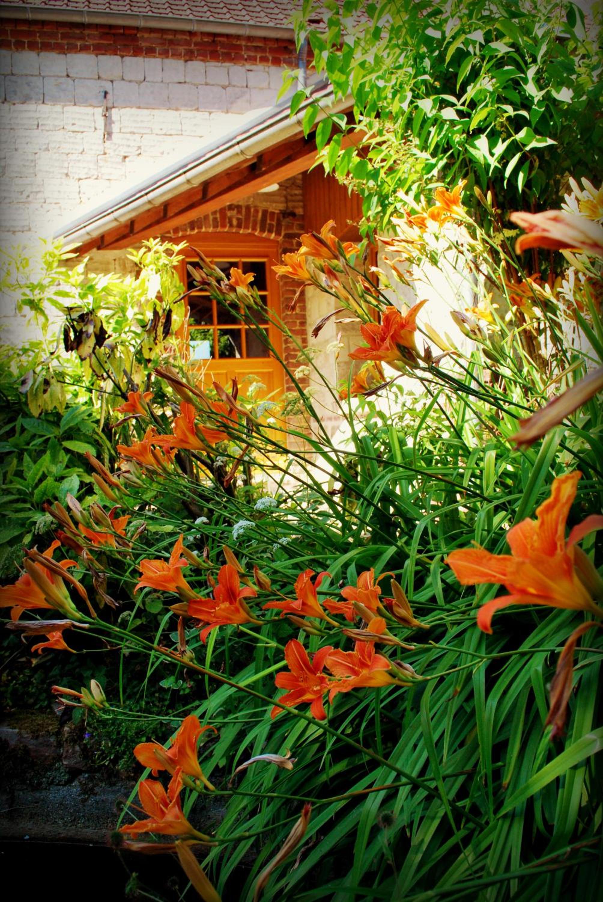 Three-Bedroom House - Photo 25
