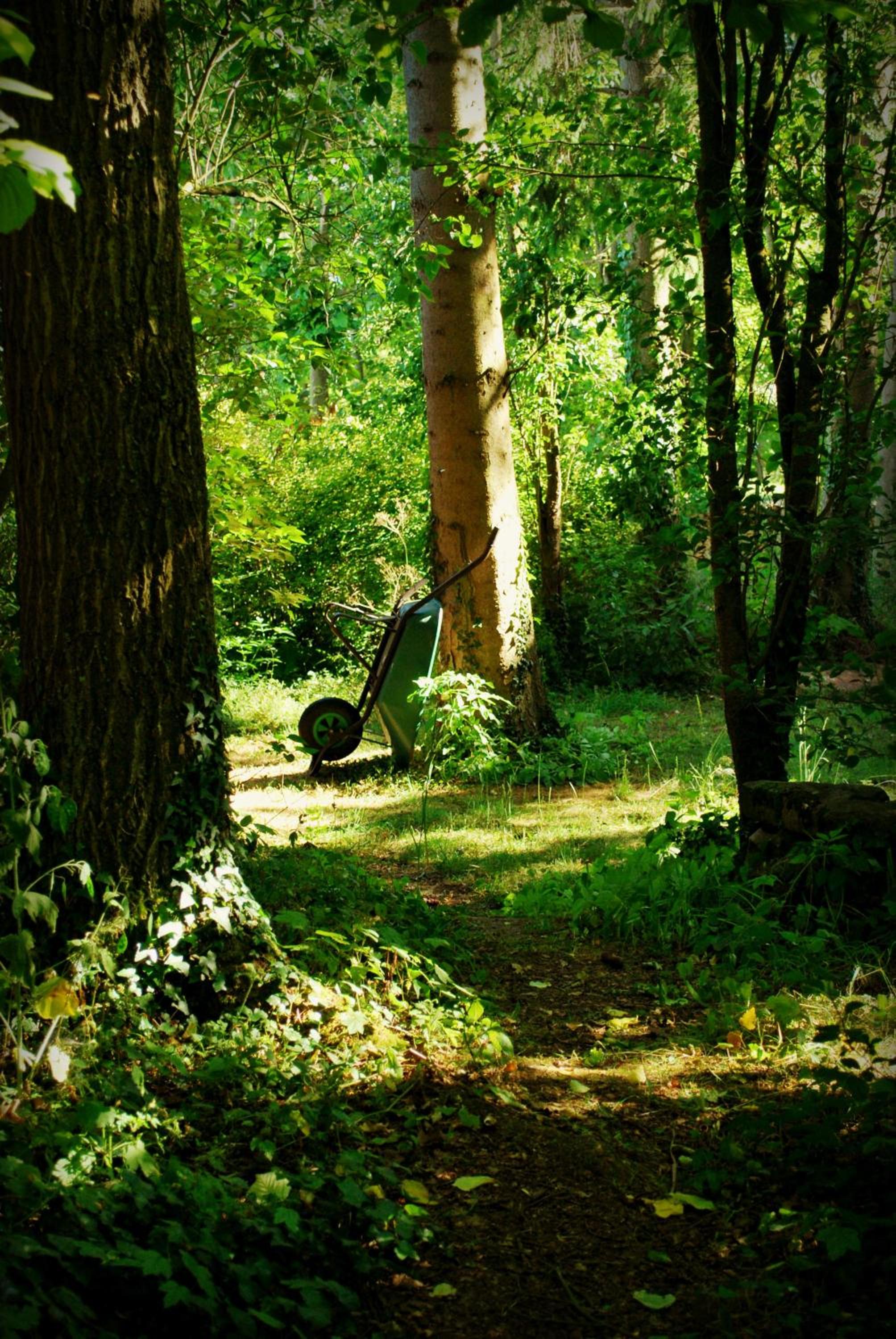 Three-Bedroom House - Photo 28
