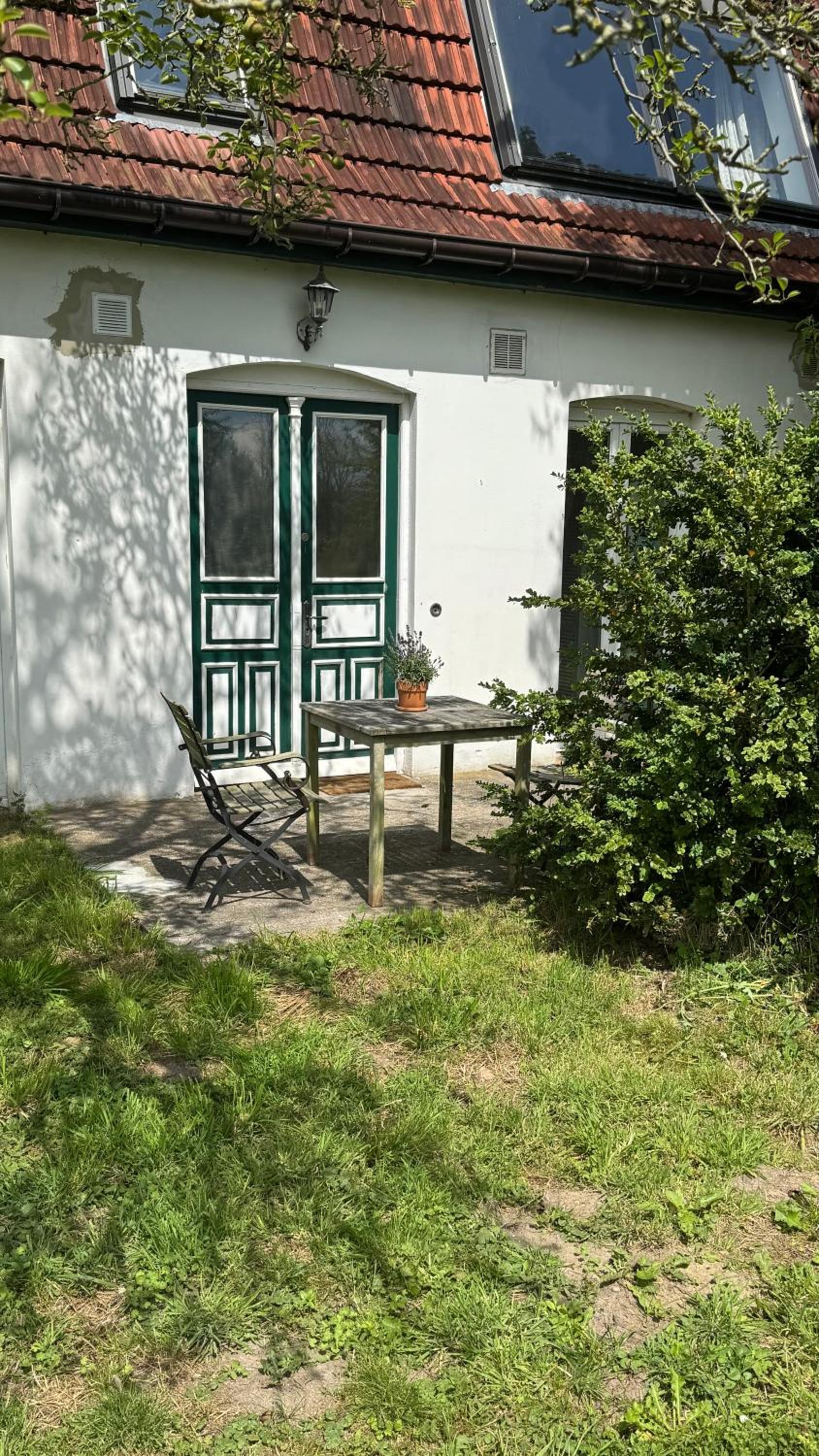 Studio with Terrace photo 2