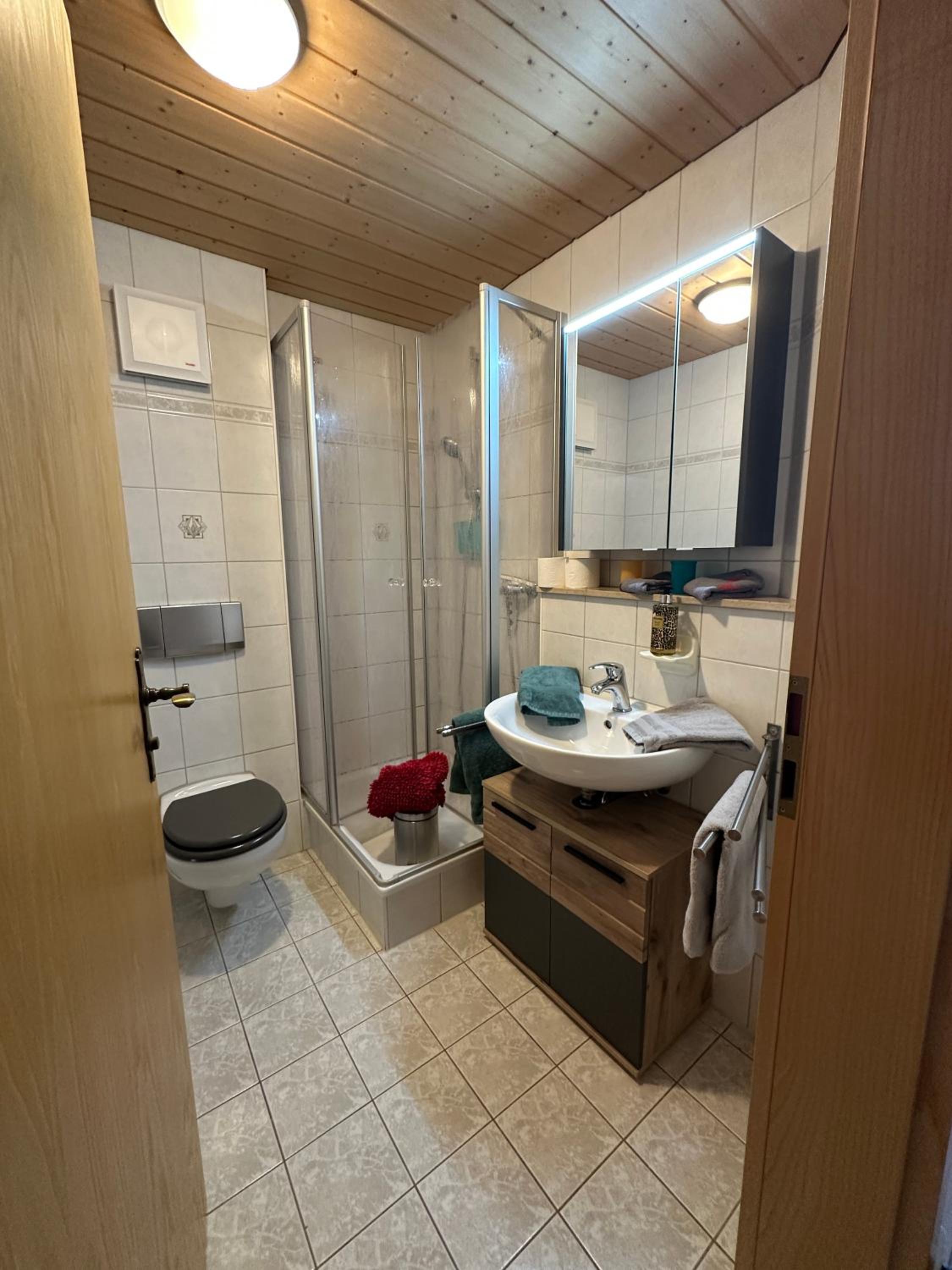 One-Bedroom Apartment with Balcony and Mountain View   photo 2