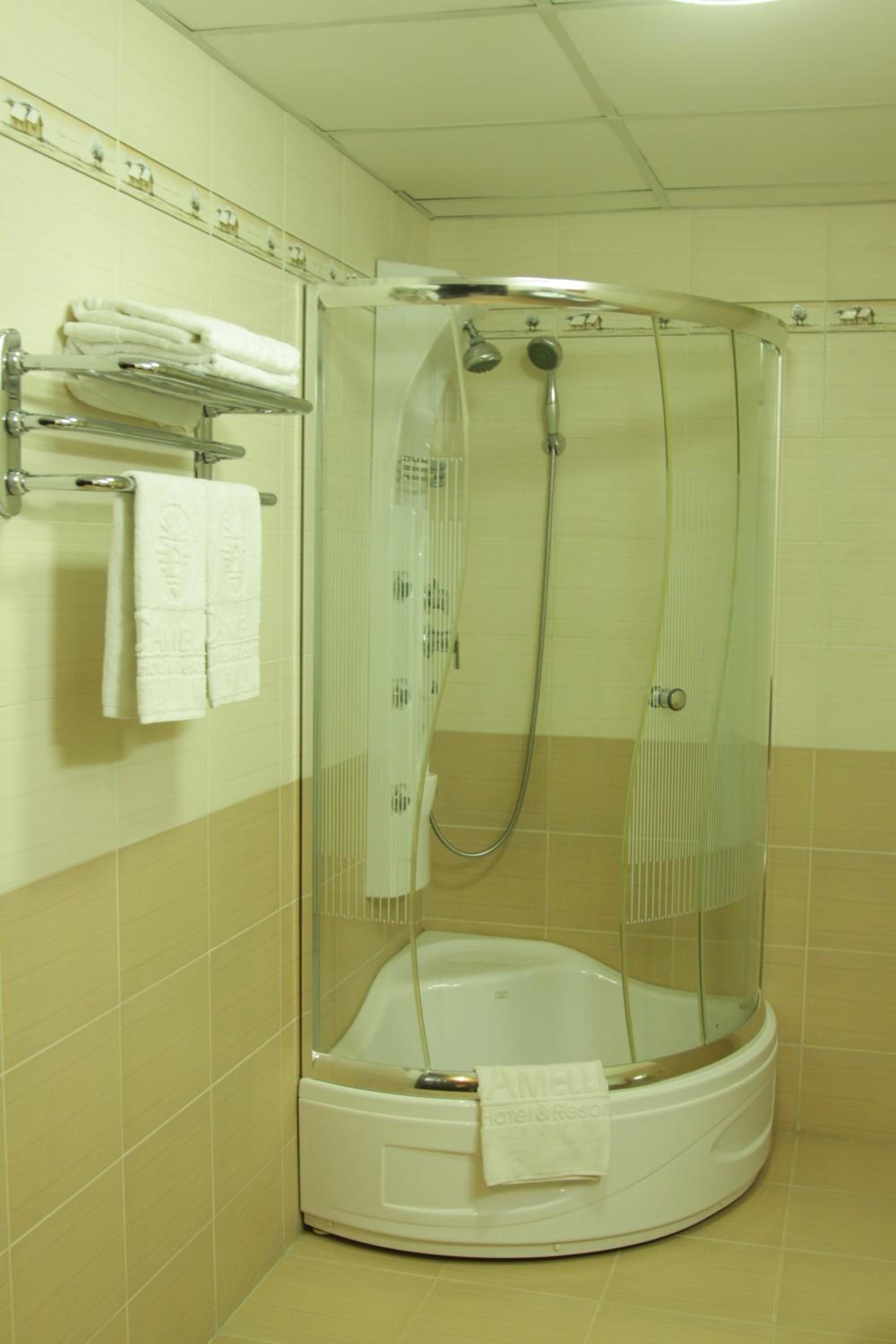Deluxe Double or Twin Room photo 3