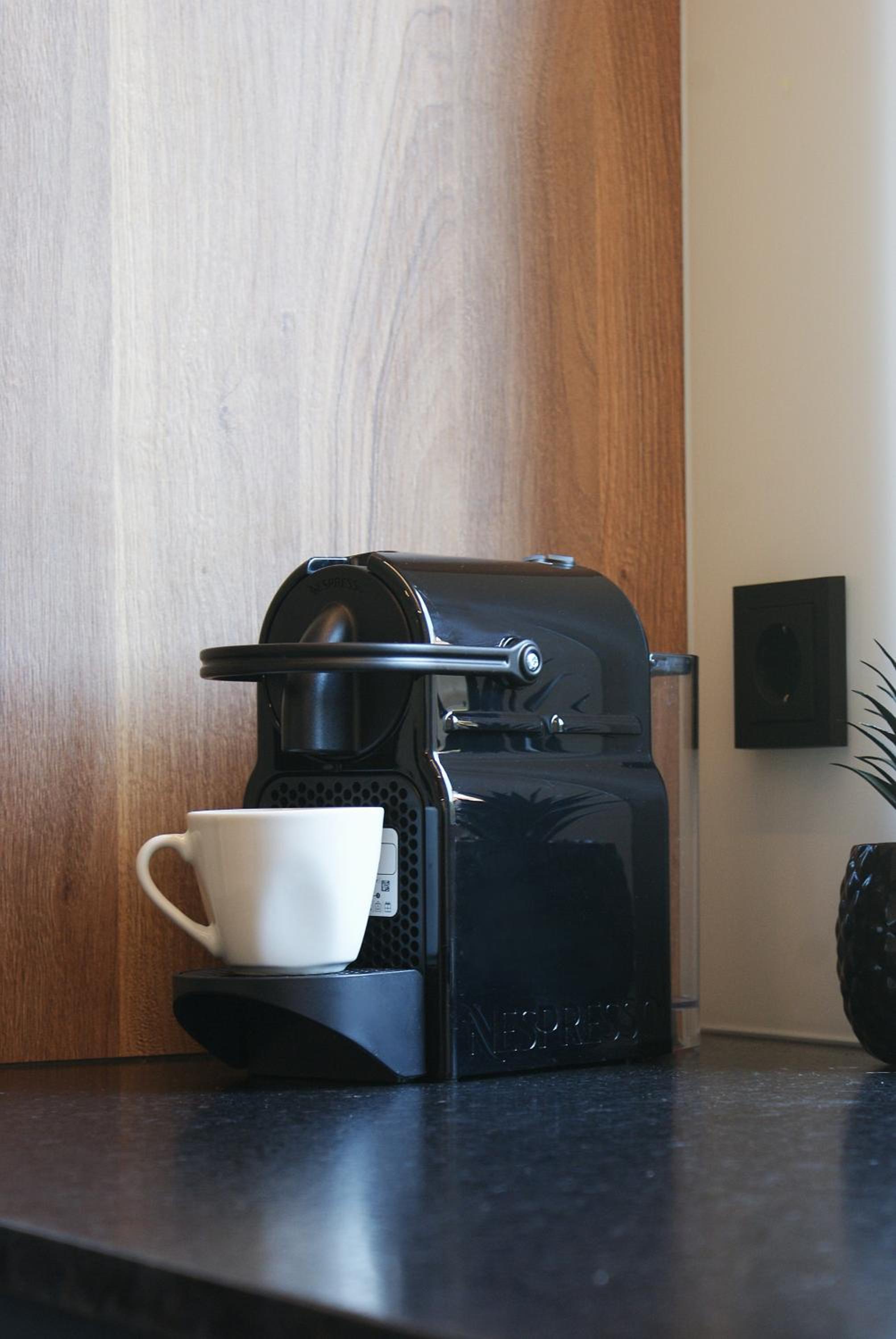 Apartment with Terrace photo 3