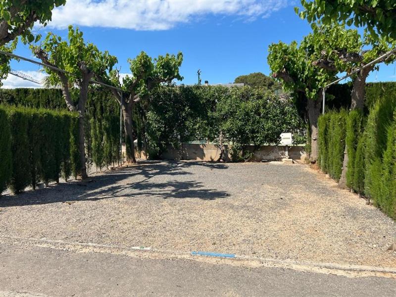Empty Lot photo 3