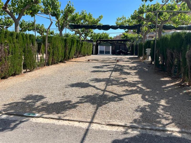 Empty Lot photo 2