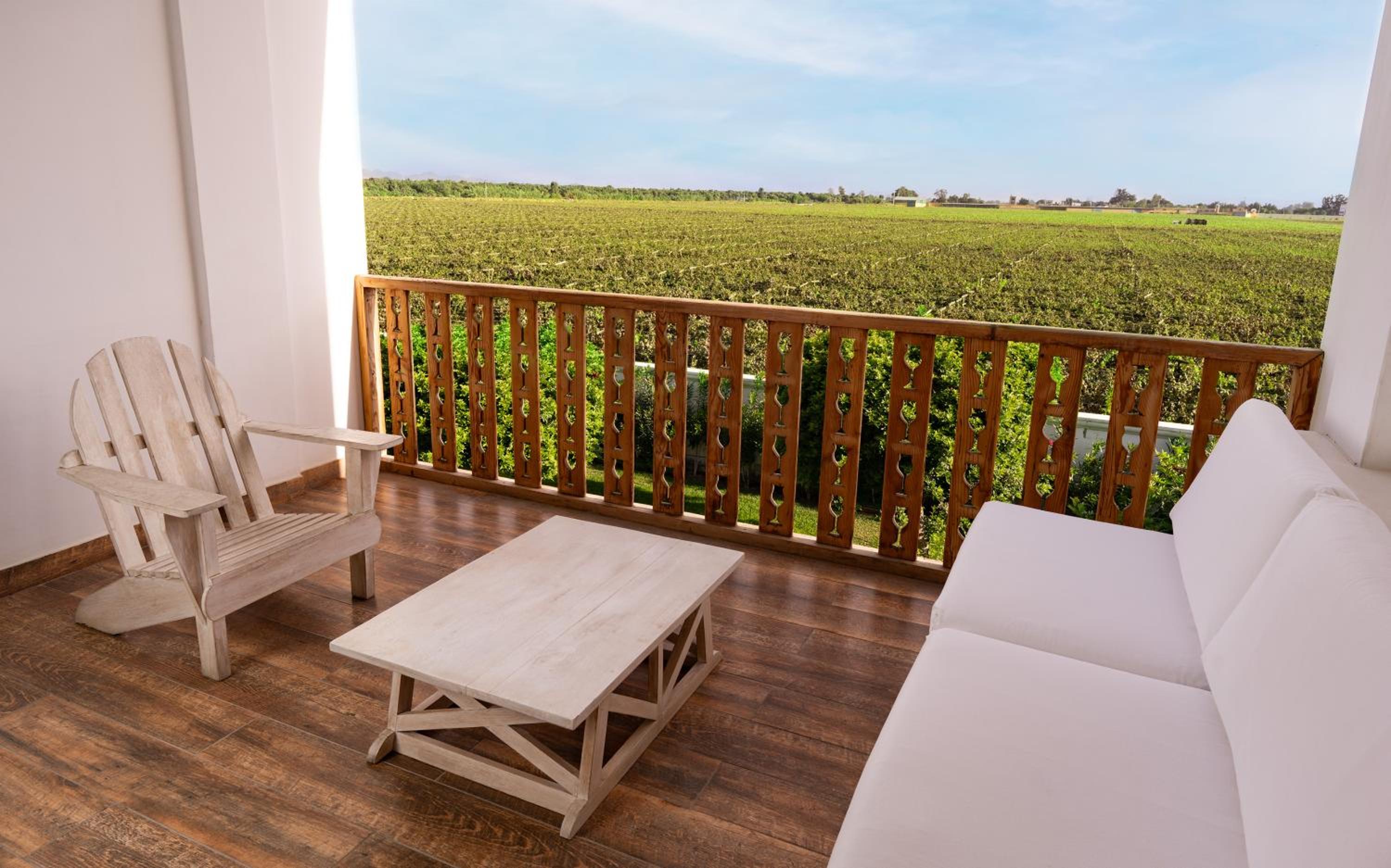 Superior King Room with Vineyard View photo 3
