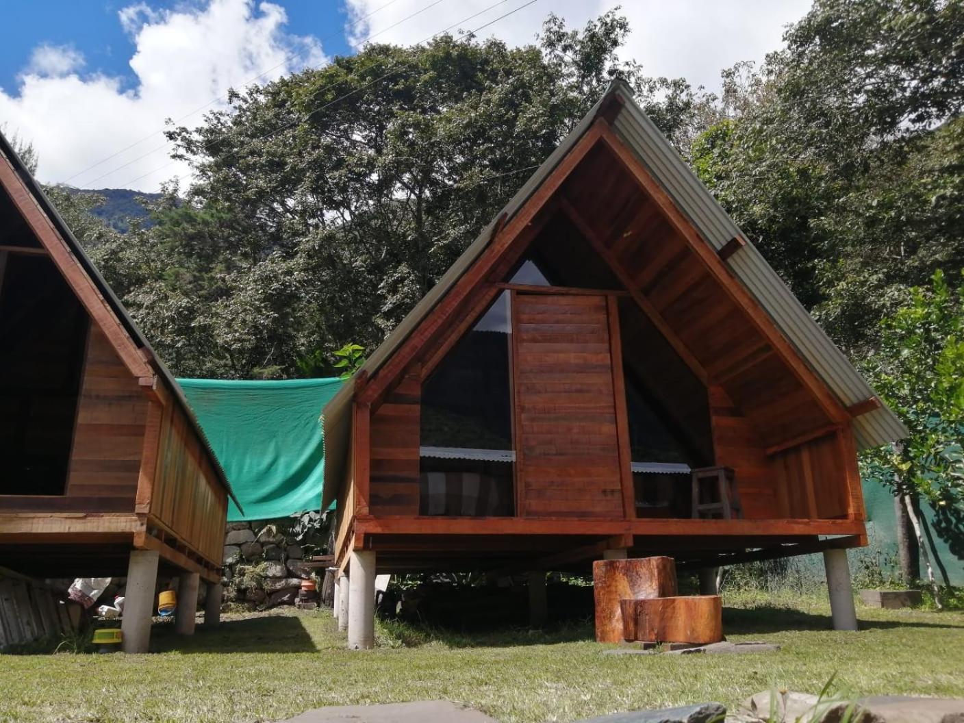 Twin Room with Garden View photo 2