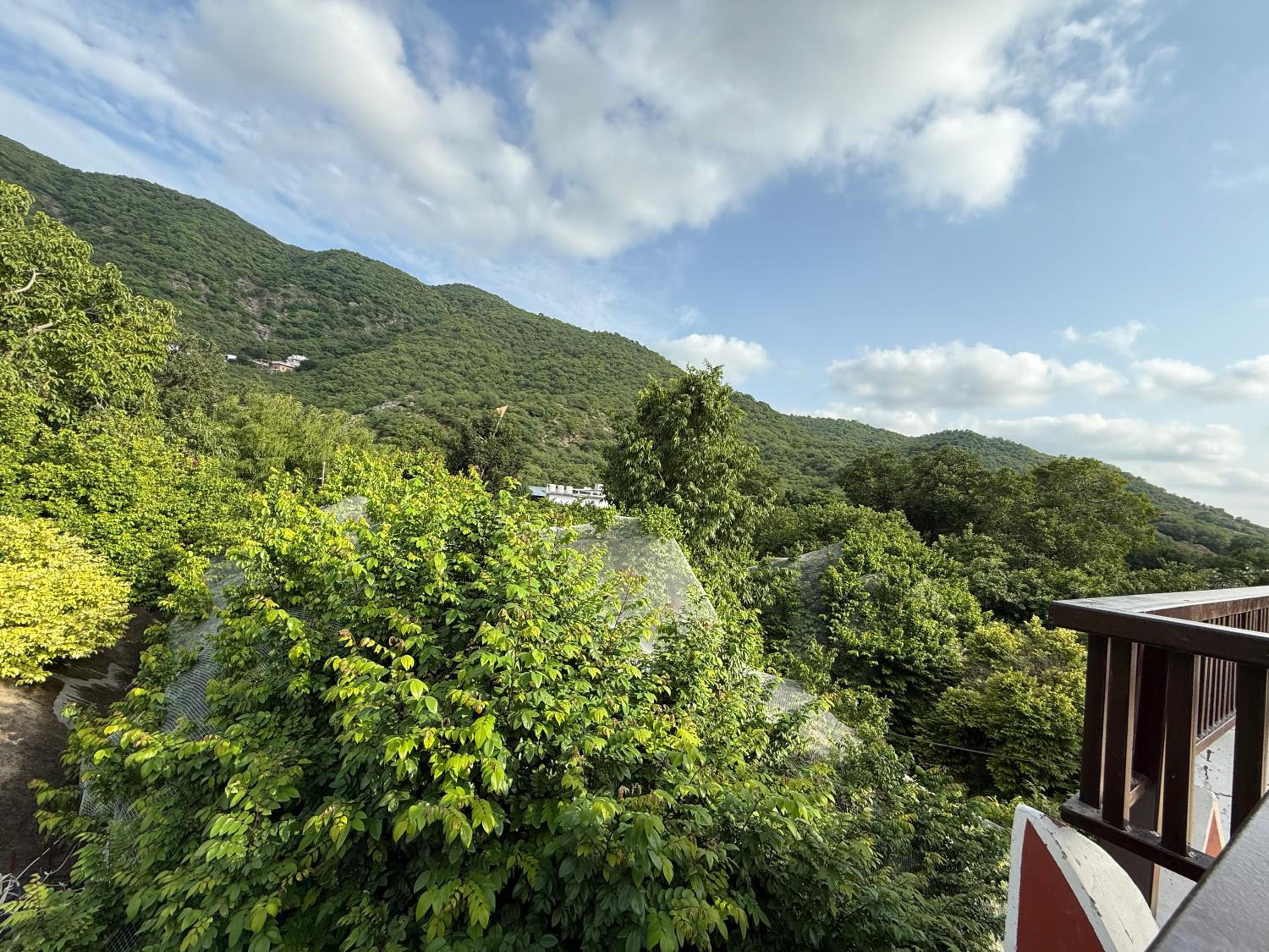 Apartment with Garden View - Photo 4