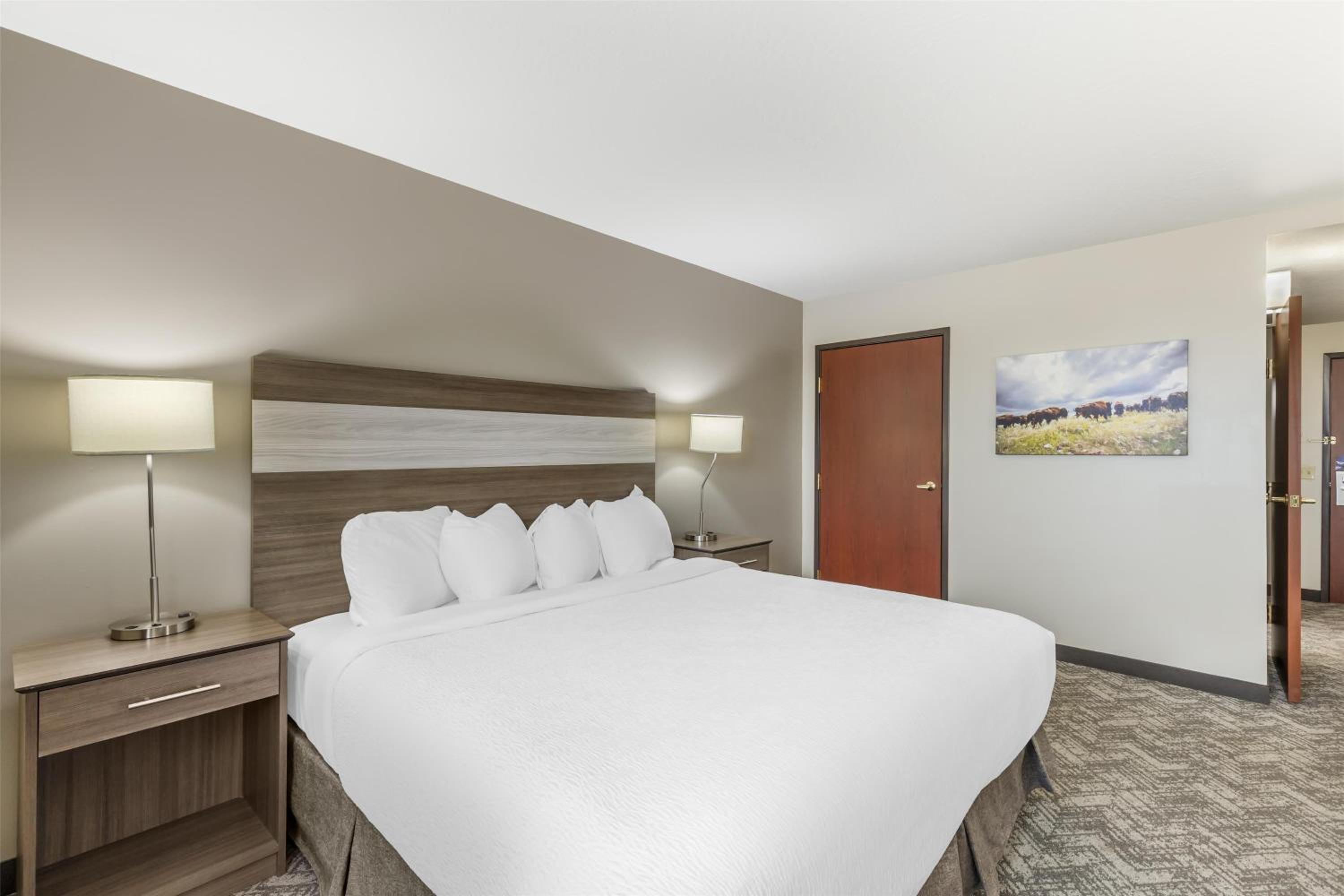 King Room with Roll-In Shower - Disability Access photo 2