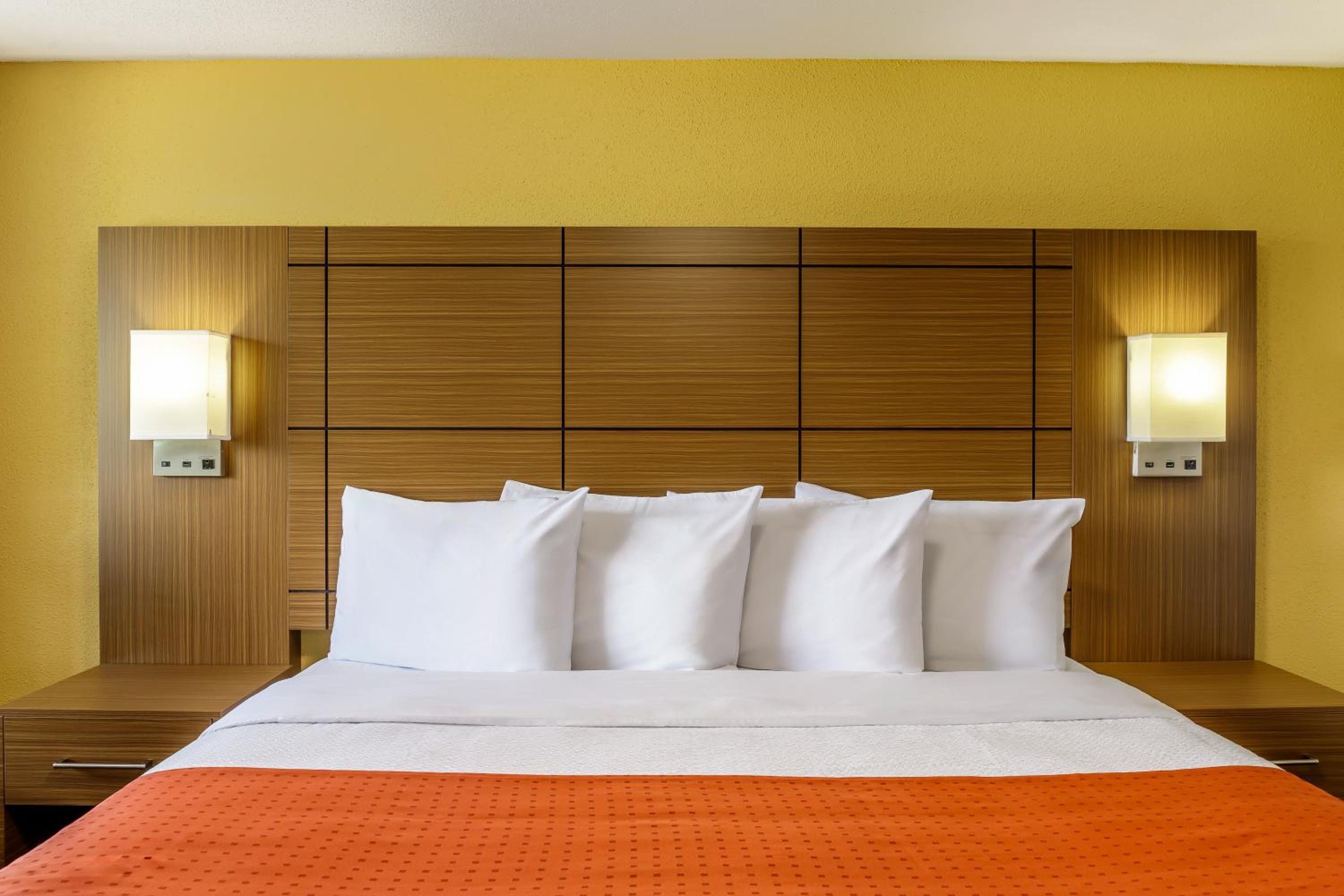 1 King Bed | Non-Smoking, Micfridge