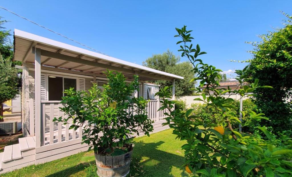 Bungalow with Garden View photo 1