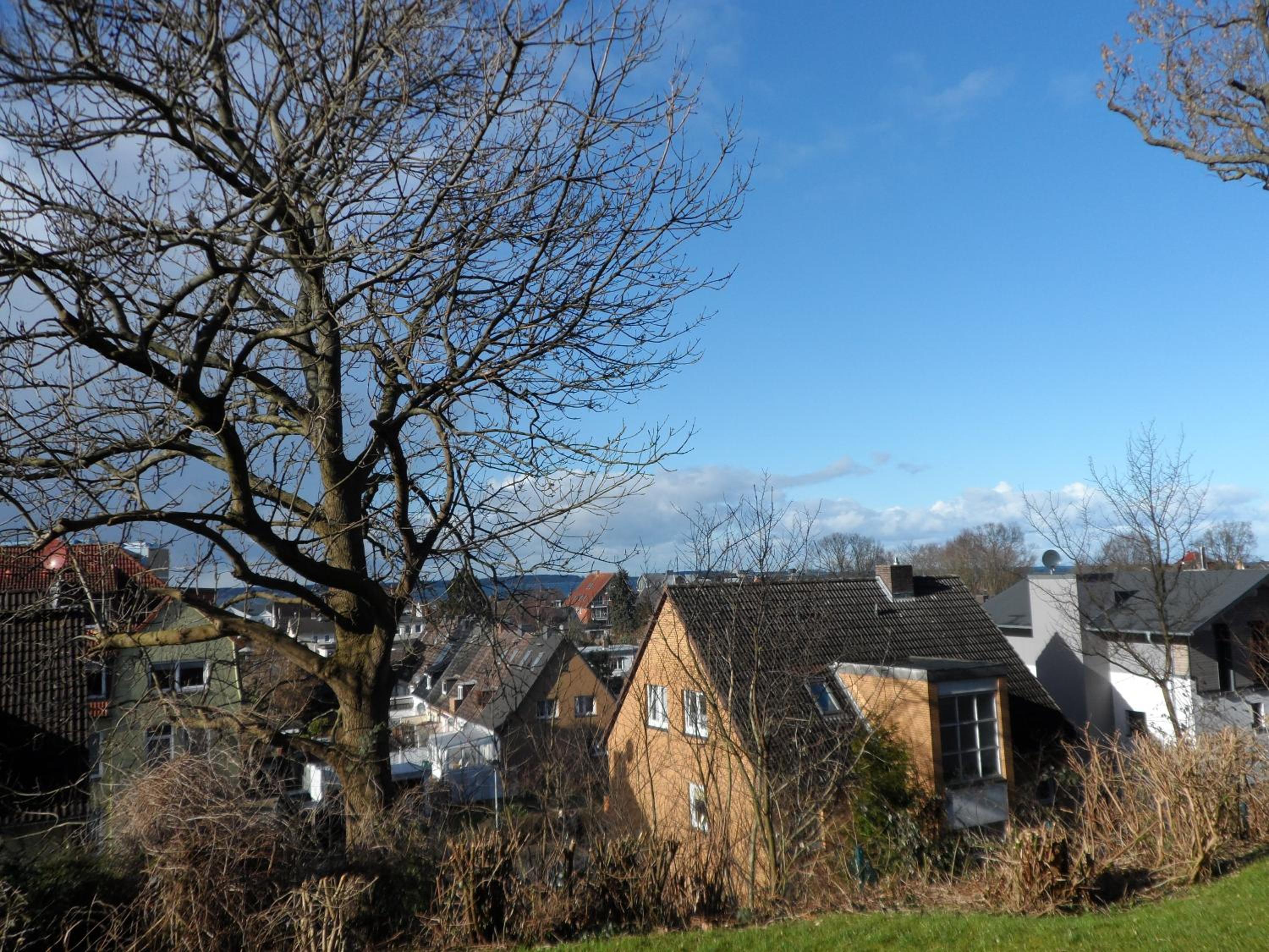 Apartment - Ground Floor photo 2