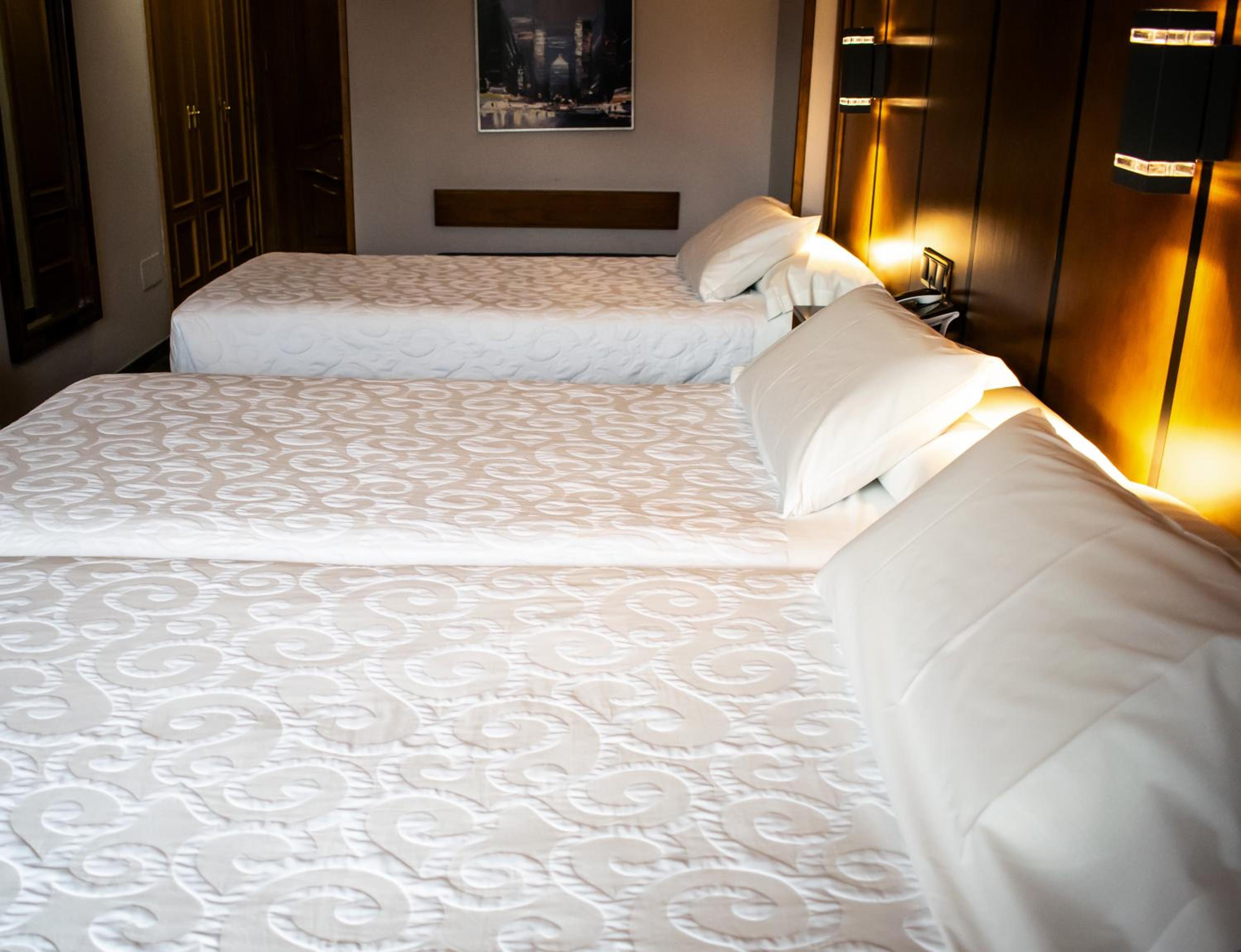 Double or Twin Room with Extra Bed